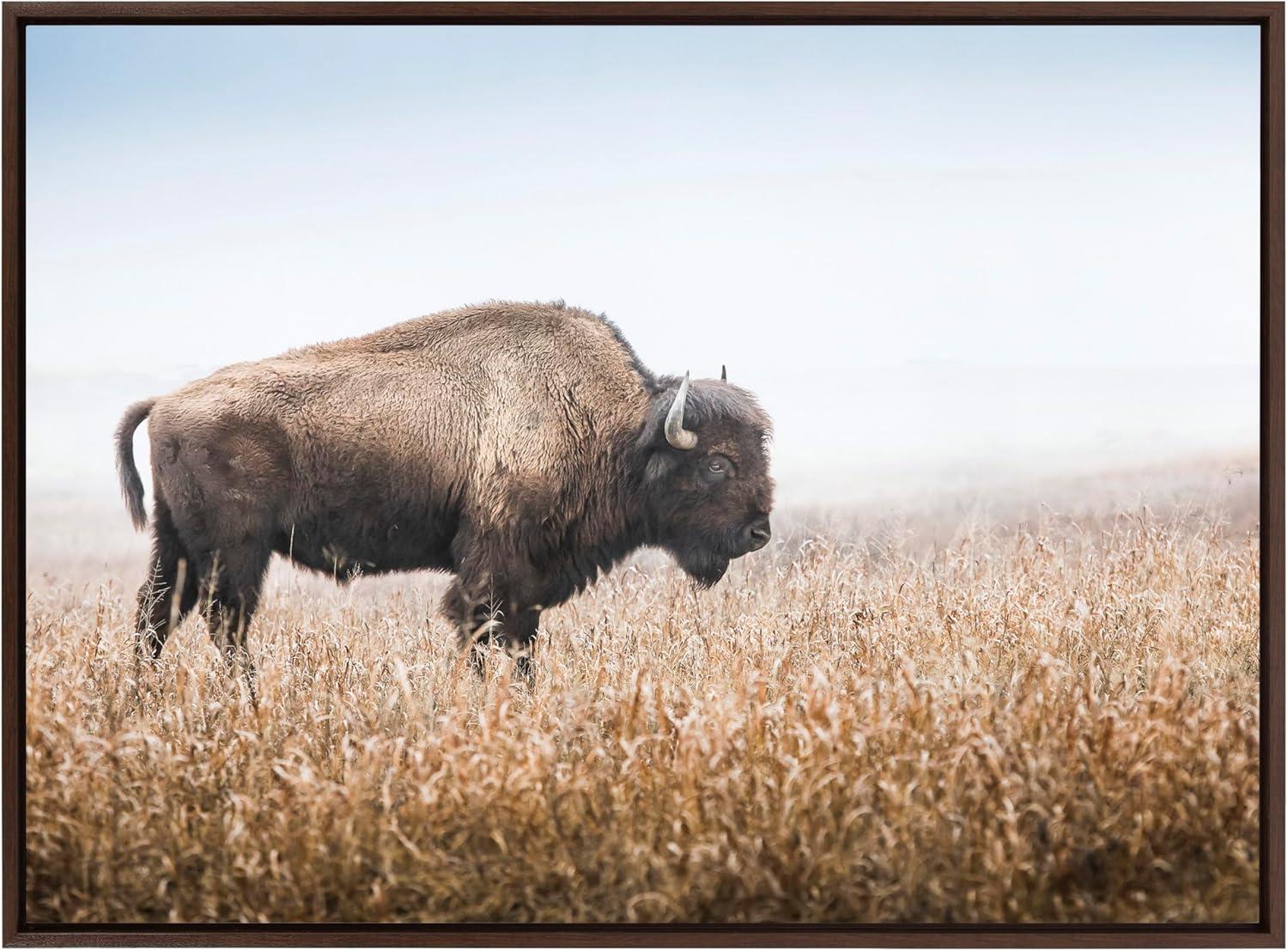 Kate & Laurel All Things Decor Sylvie American Bison Buffalo in Prairie Grass Framed Canvas Wall Art Brown