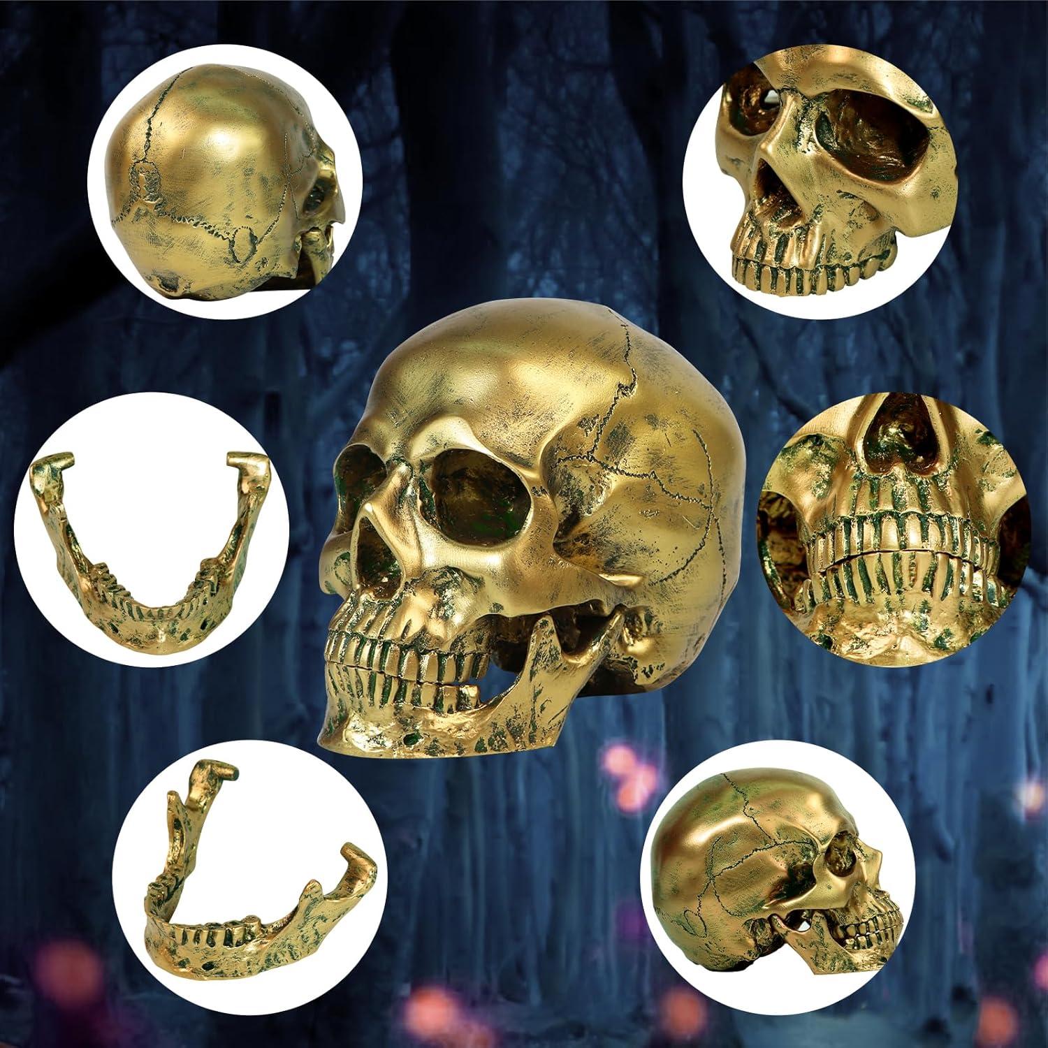 Resin Gold Skull Model - Life Size High Fidelity Sculpture for Halloween Decor Statues, Home Decoration & Artistic Display