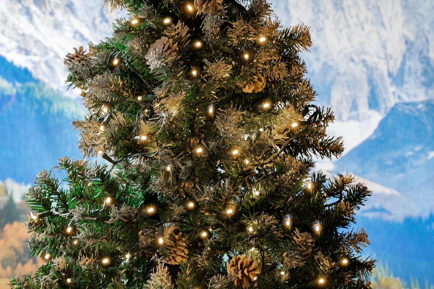 Novelty Lights Warm White LED Christmas String Lights 50 Mini Bulbs (Green Wire, 17 Feet)