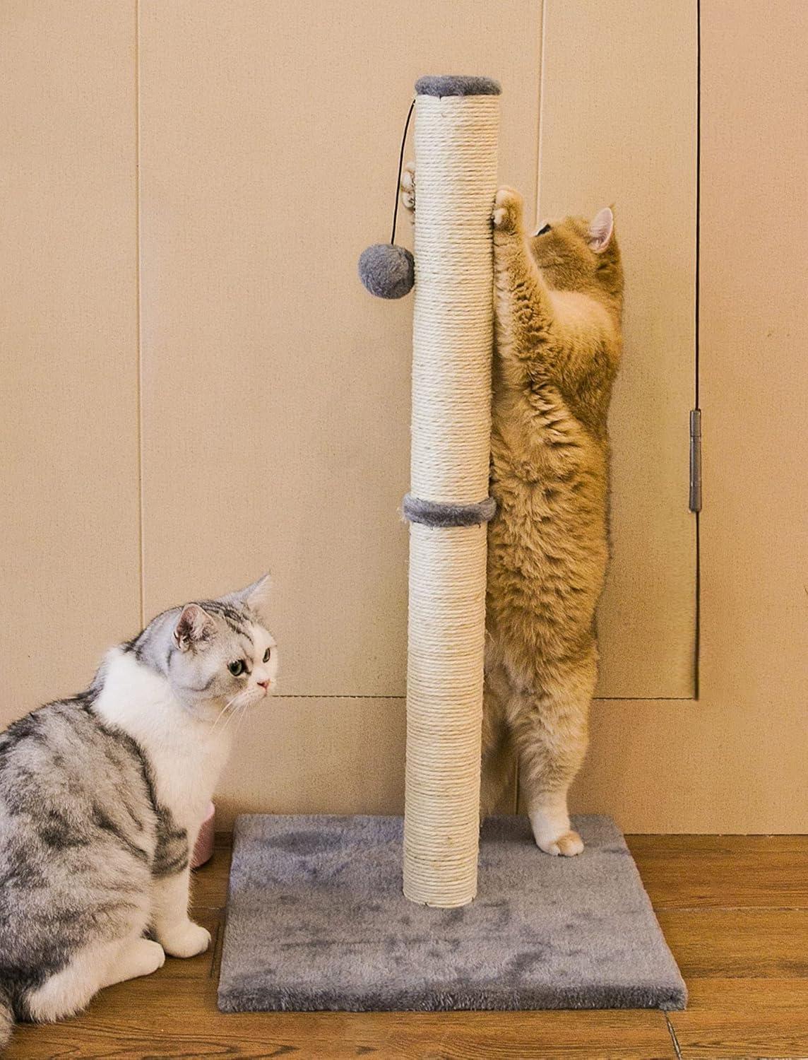 Tucker Murphy Pet™ 29" Tall Cat Scratching Post, Scratch Posts With Sisal Rope And Hanging Interactive Toy Ball For Indoor Cats And Kittens