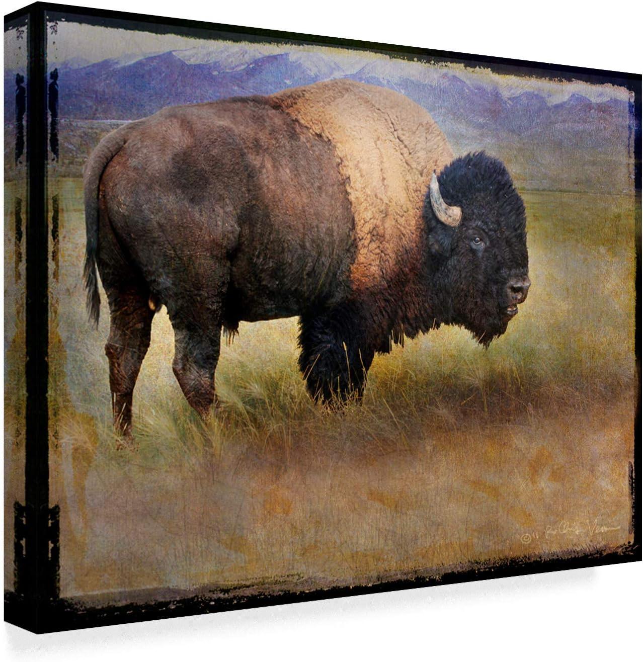 Trademark Fine Art 'Bison Portrait Mountains' Canvas Art by Chris Vest