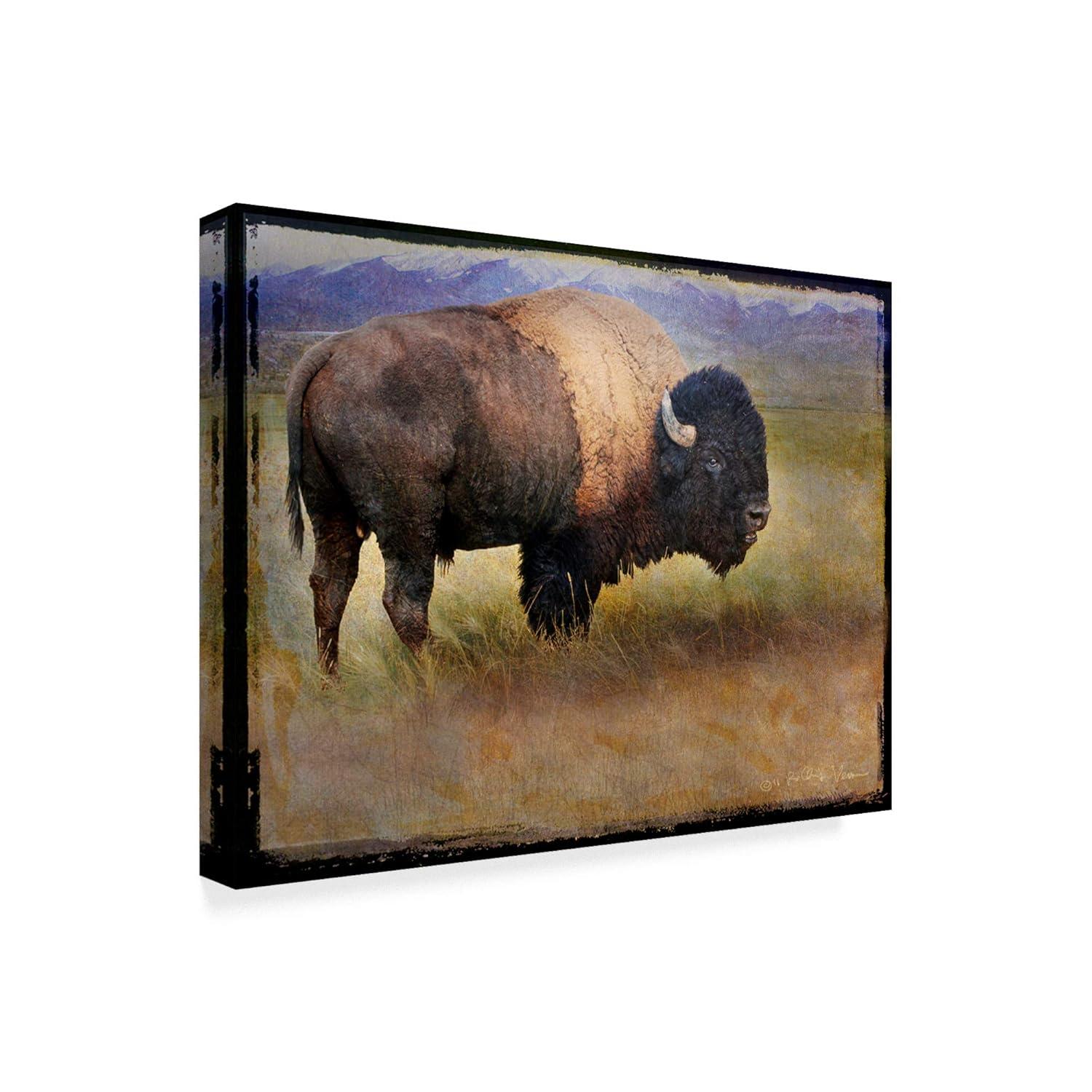 Trademark Fine Art 'Bison Portrait Mountains' Canvas Art by Chris Vest