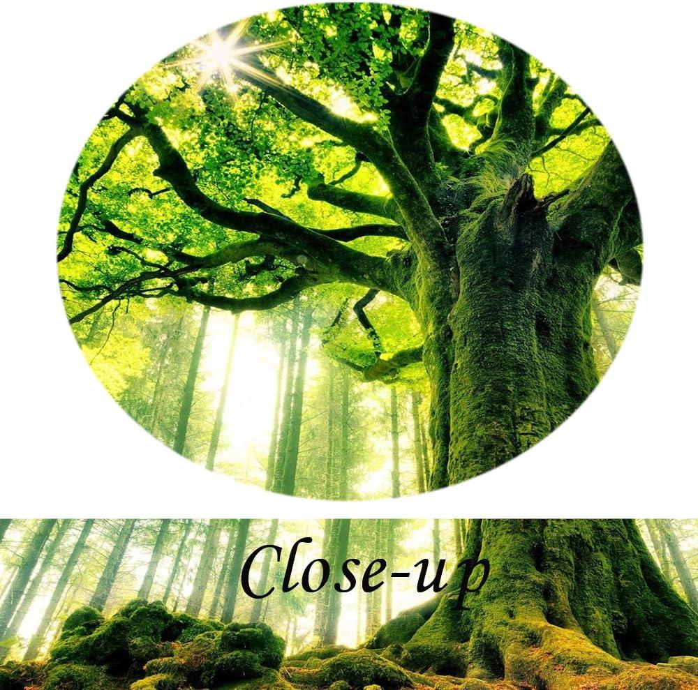 KREATIVE ARTS Canvas Large Art Print Spring Forest Nature Green Big Tree Wall Art Photo Printed on Canvas Framed Artwork for Office Wall Decoration Ready to Hang 20x40inch