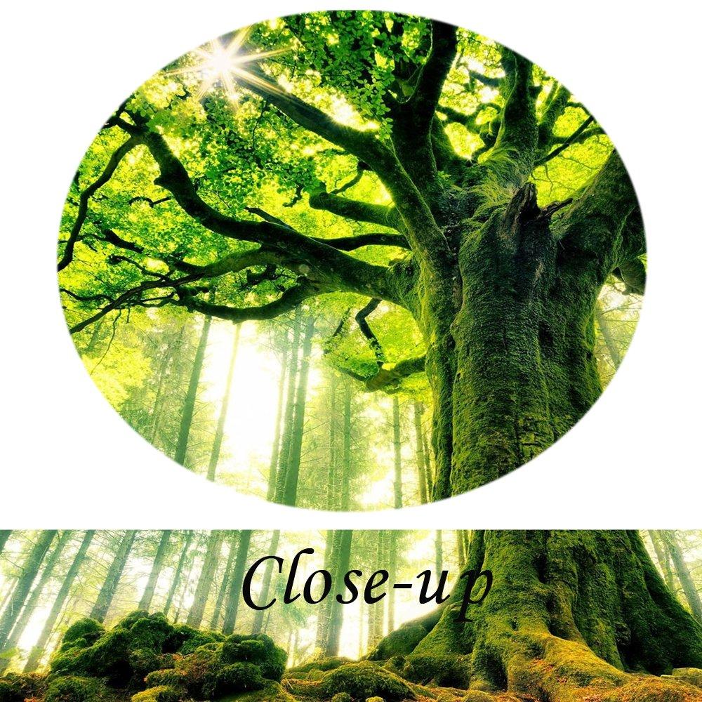 KREATIVE ARTS Canvas Large Art Print Spring Forest Nature Green Big Tree Wall Art Photo Printed on Canvas Framed Artwork for Office Wall Decoration Ready to Hang 20x40inch