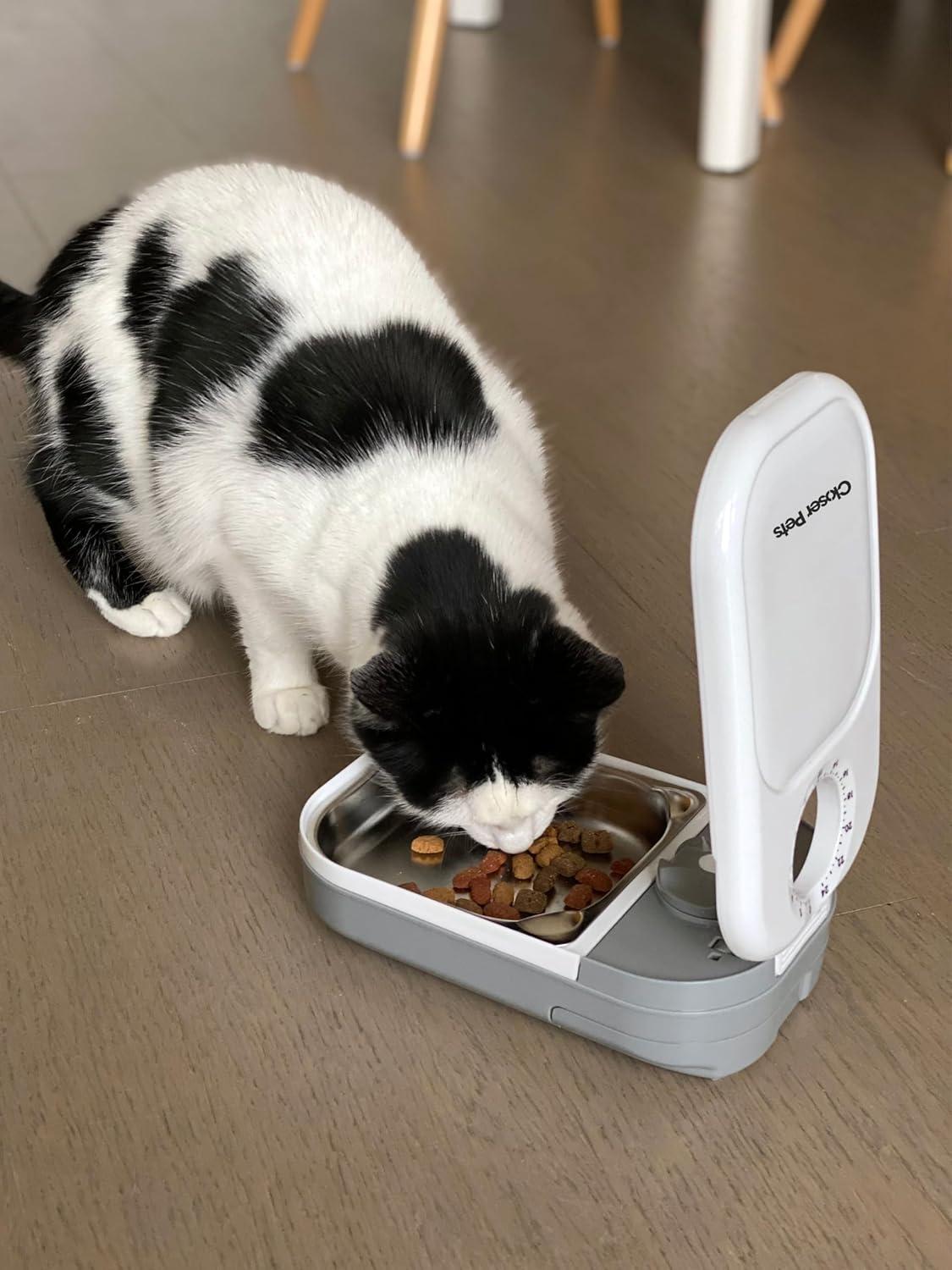 Programmable Automatic Pet Feeder with Stainless Steel Bowl