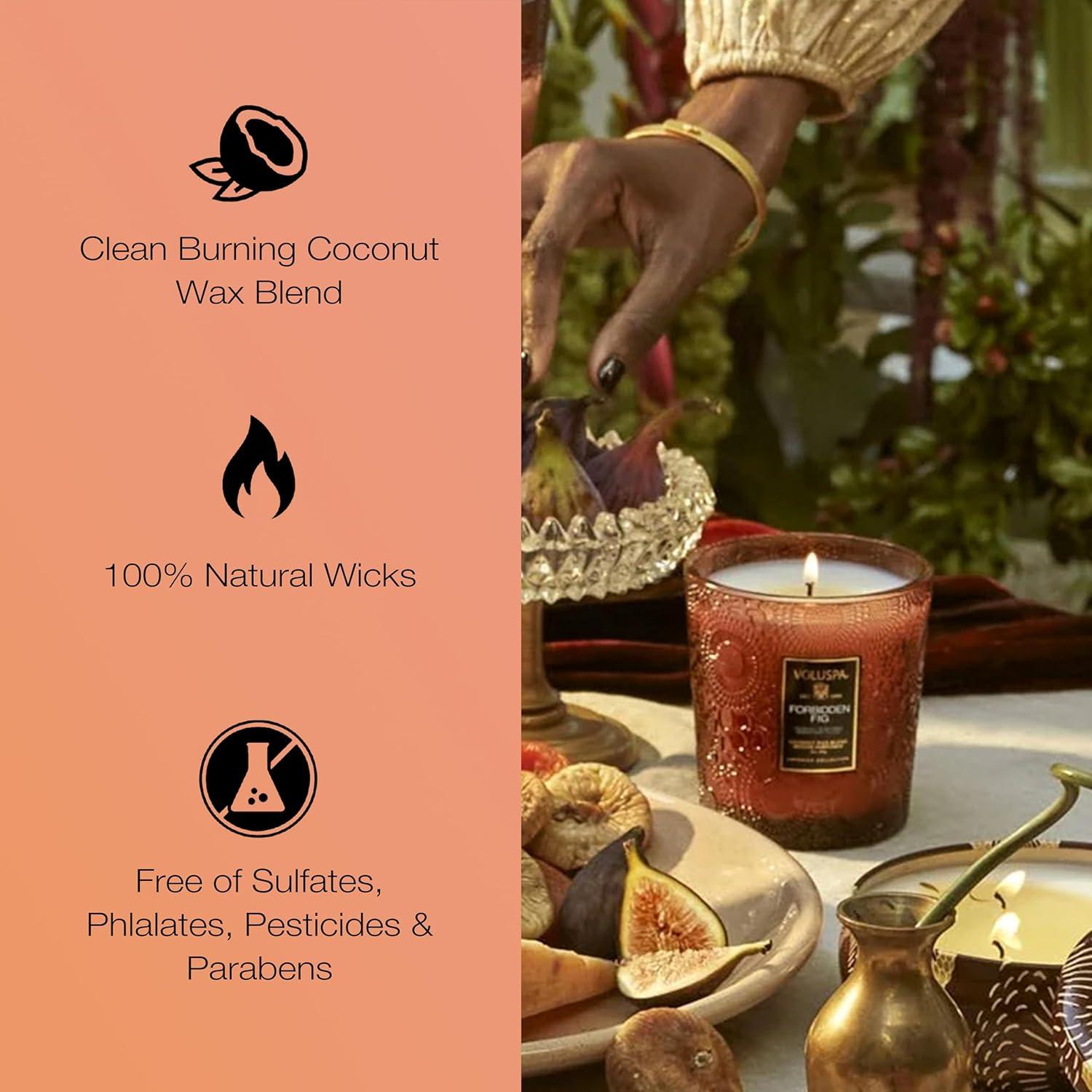 Forbidden Fig Scented Jar Candle with Coconut Wax Blend