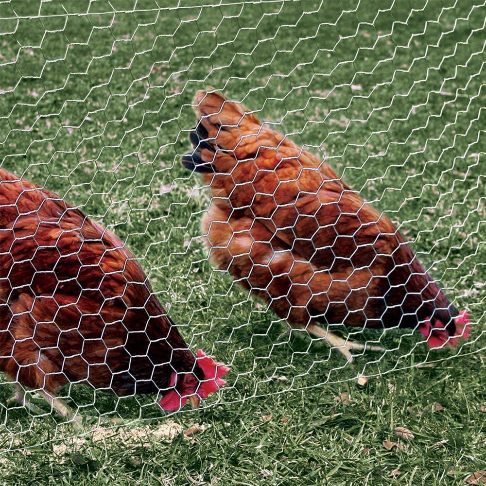 YARDGARD Chicken Wire 2 Inch Mesh 48 Inch X 150 Foot 20 Gauge Galvanized Steel Wire Fence Ideal for Crafting, Garden Protection, Bird Enclosures, Chicken Coops, Poultry Netting and Rabbit Fencing