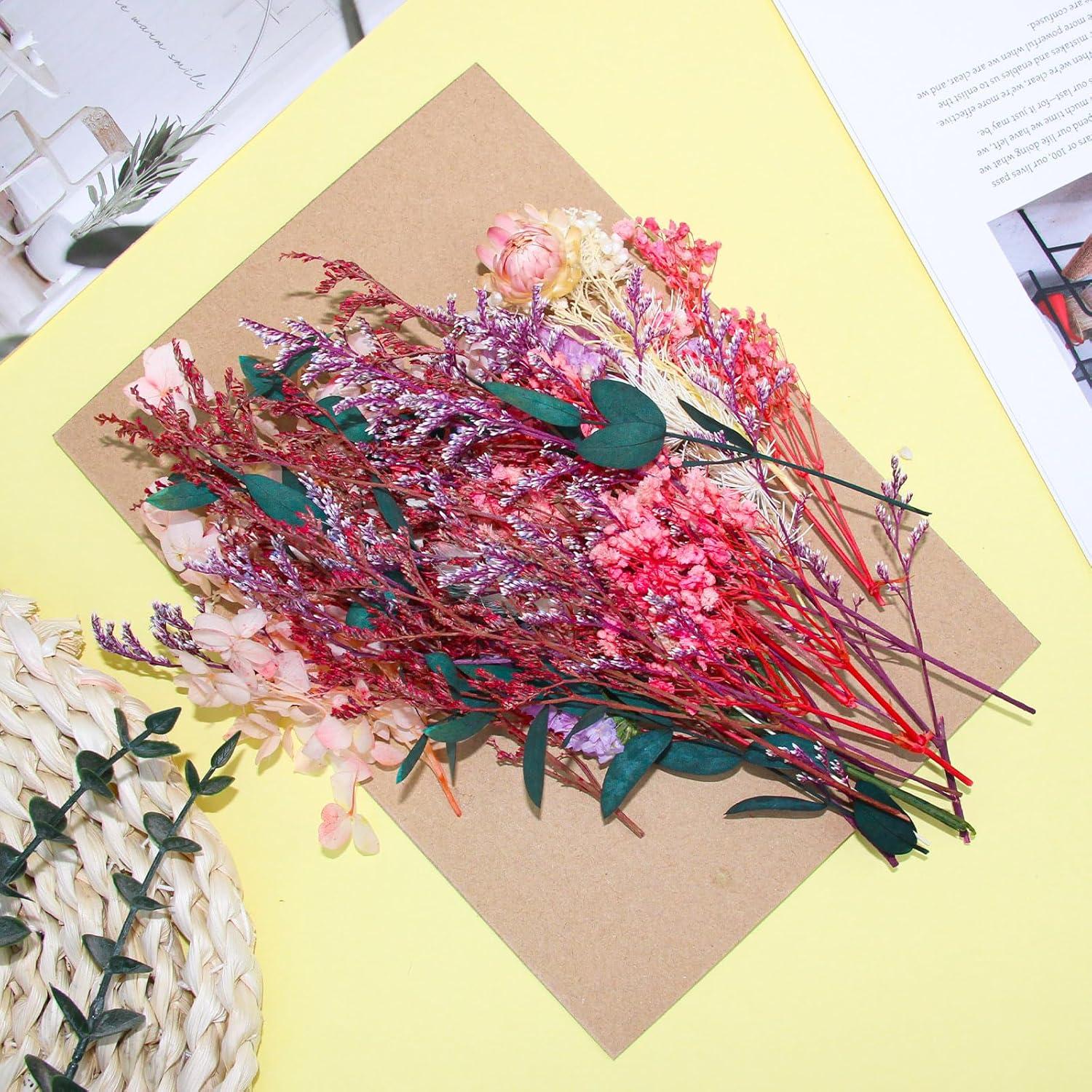 Yoloke DIY Dried Flowers Craft Kit - Natural Assorted Dried Florals for Making Everlasting Valentine's Day Gifts, Unique Design, Perfect for Framing & Creative Decor