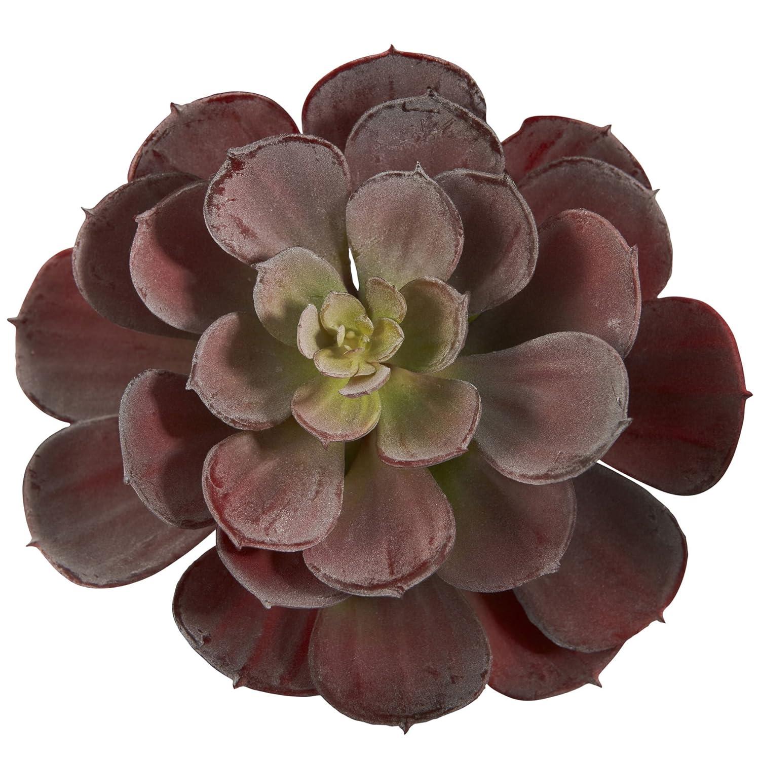 Nearly Natural 6" Plastic/Polyester Echeveria Succulent Artificial Plant (Set of 12), Red