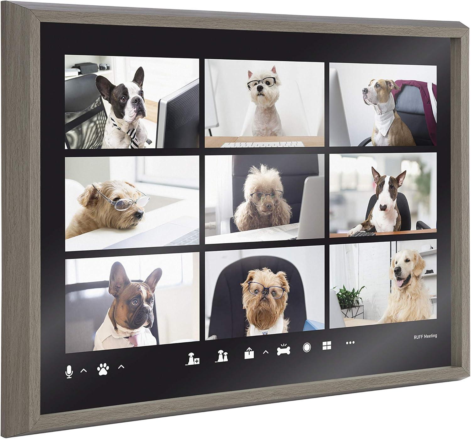 24" x 18" Gray Framed Video Chat Dogs Printed Glass Wall Art