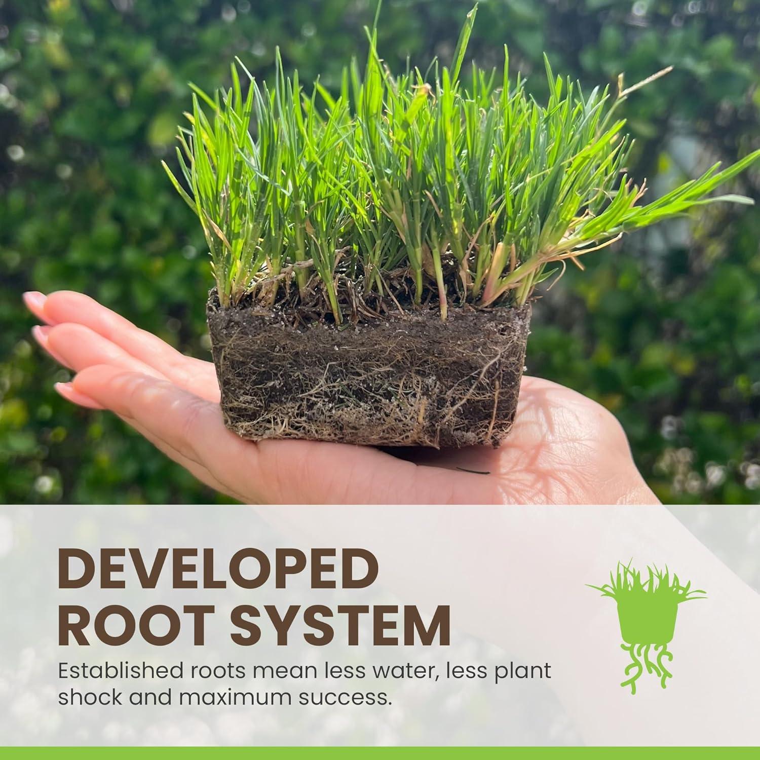 SodPods® Bermuda Grass Plugs (32-Count) Heat & Drought Tolerant Grass, Fast-Spreading, Durable Lawn Repair with Fully Developed Natural Roots – Cannot Ship to CA or AZ