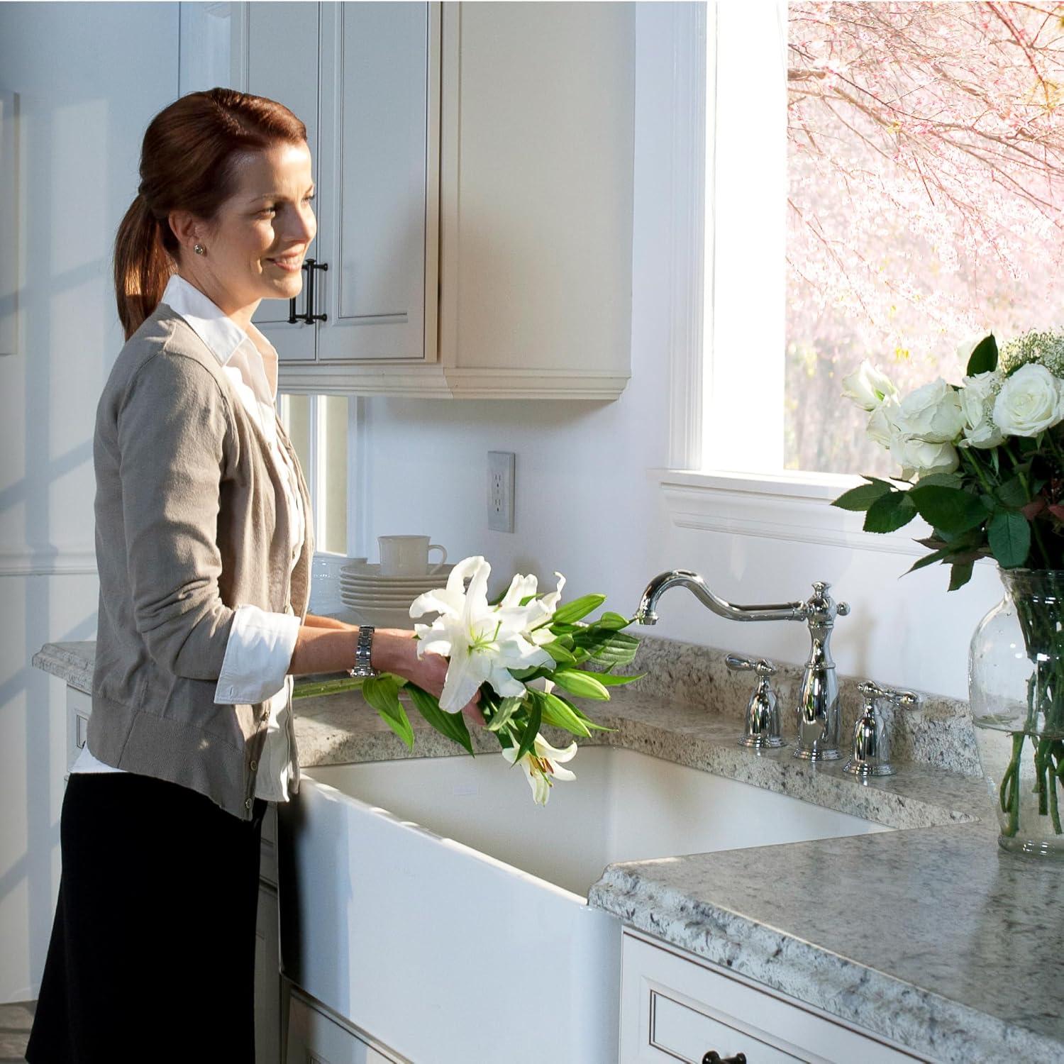 Porcela 31.25'' L Undermount Single Bowl Stainless Steel Kitchen Sink