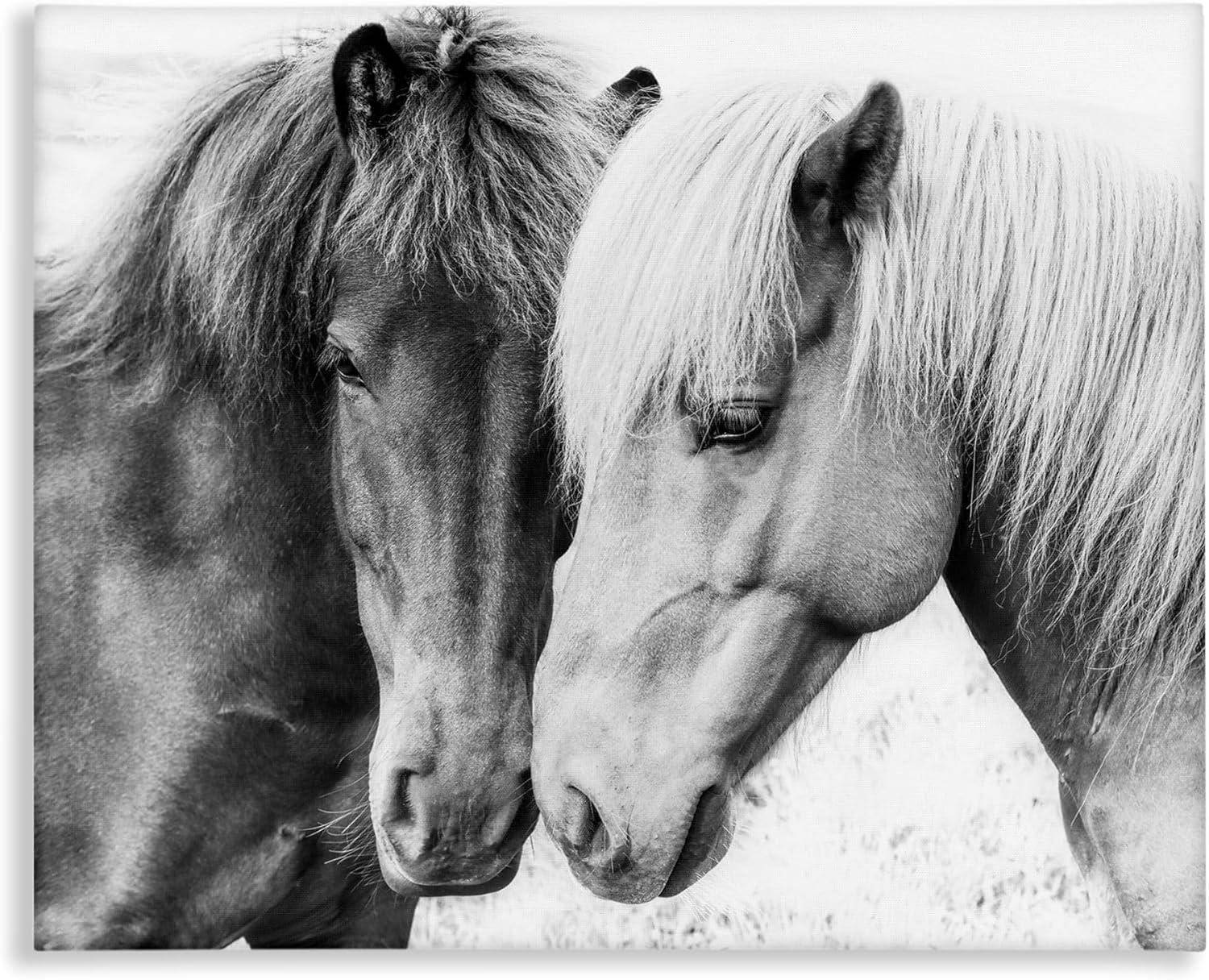 Stupell Industries " Horse Love Duo Portrait " by Sisi And Seb