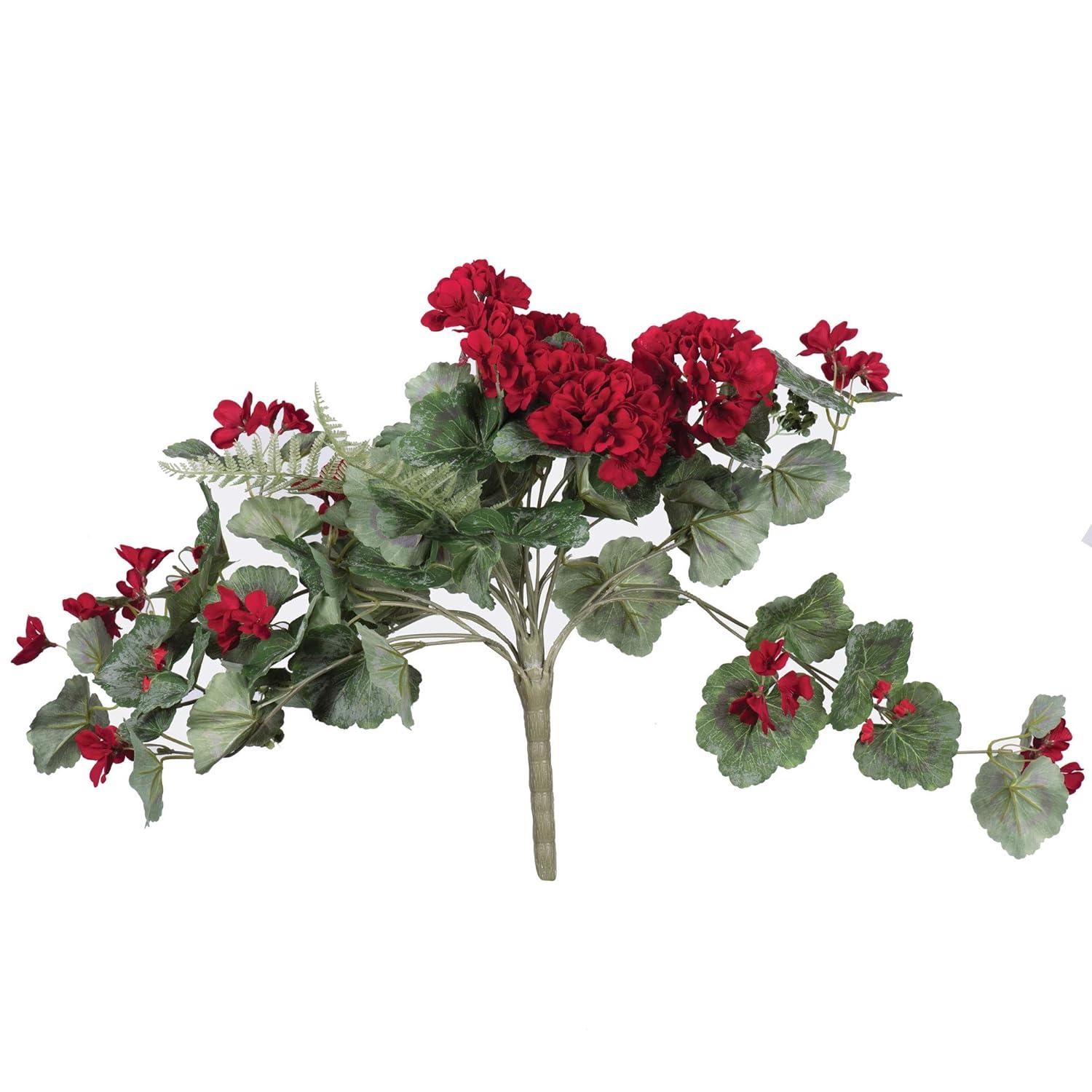 Primrue Geranium Stem