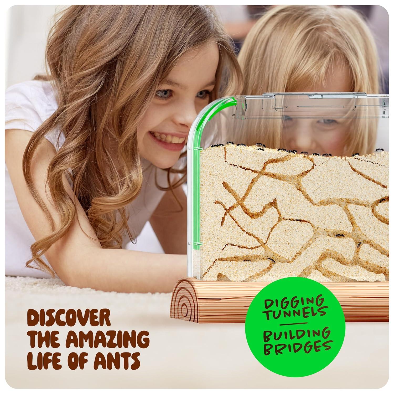 Ant Farm Kit for Kids - Ants Farms Colony - Includes Ant Voucher - Sand Habitat Kits - Bug Terrarium House - Educational Science Gifts for Kids - Nature Learning Toys for Boys, Girls & Adults