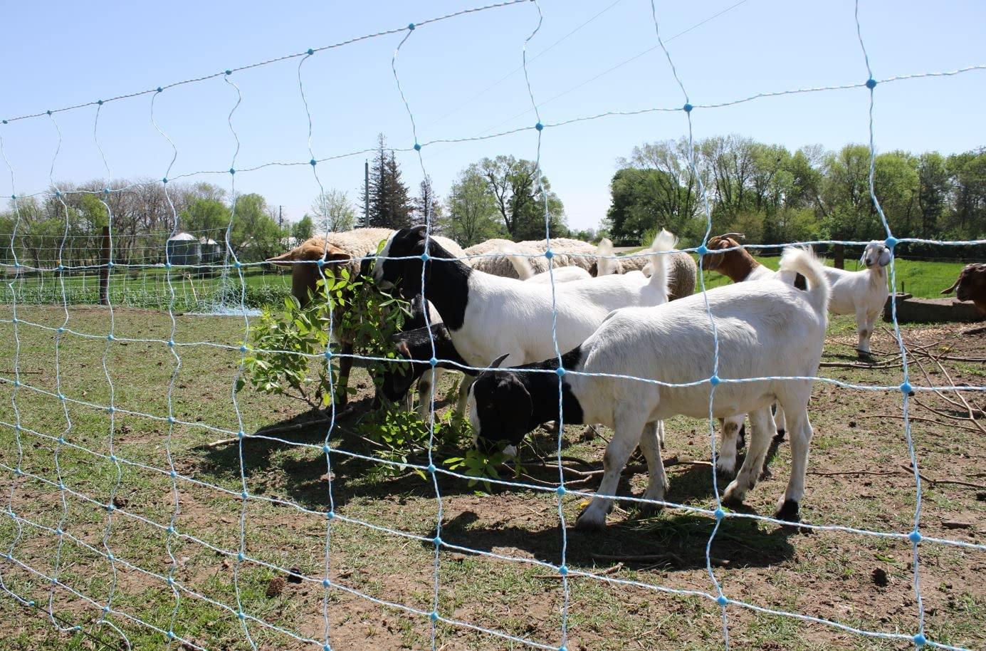 Starkline 35" x 164' Blue Electric Fence Netting with Stainless Steel Conductors