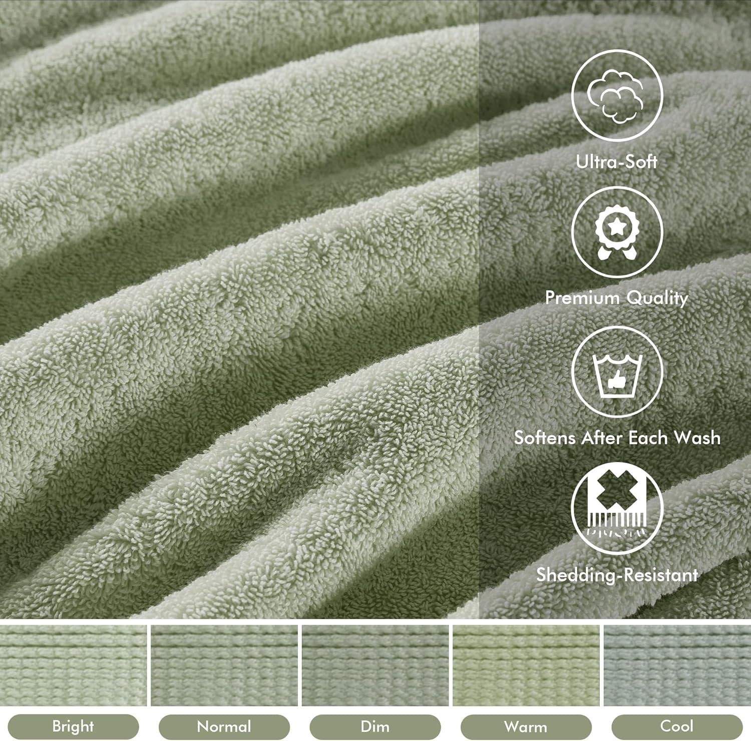 Madison Park Signature 800GSM Ultra-Soft 100% Cotton Absorbent Towel Set