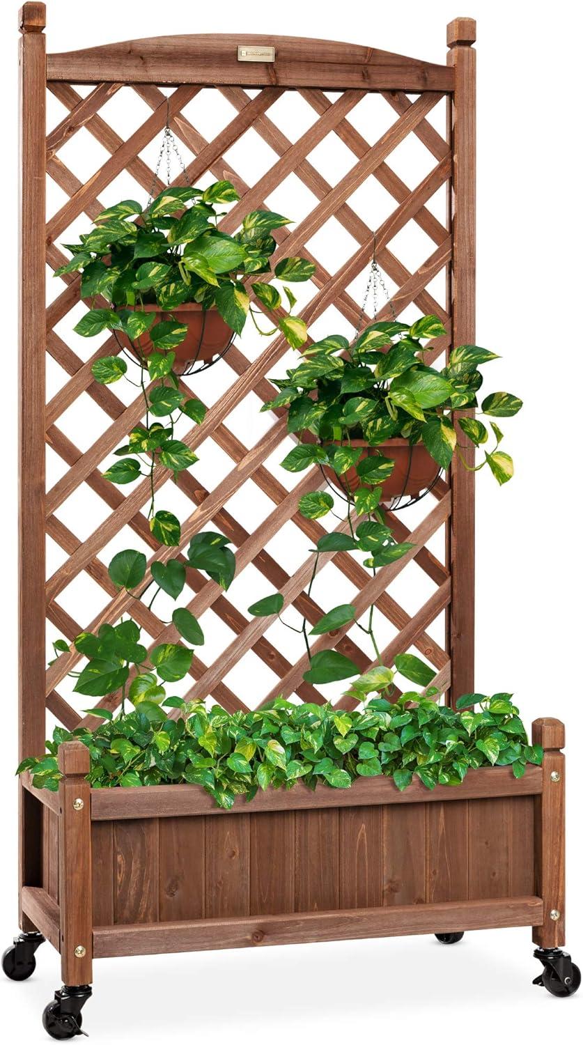 Walnut Finish Mobile Wood Planter Box with Diamond Lattice Trellis - 48"