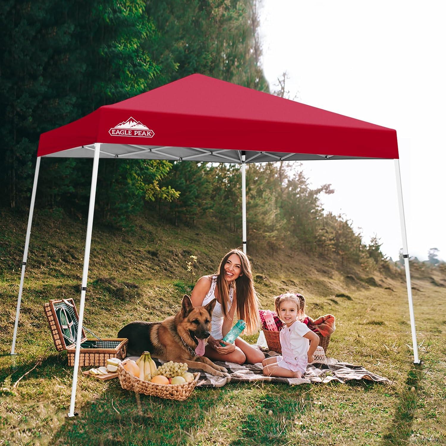 EAGLE PEAK Pop Up Canopies 10 Ft. W x 10 FT. D Metal Party Tent Canopy