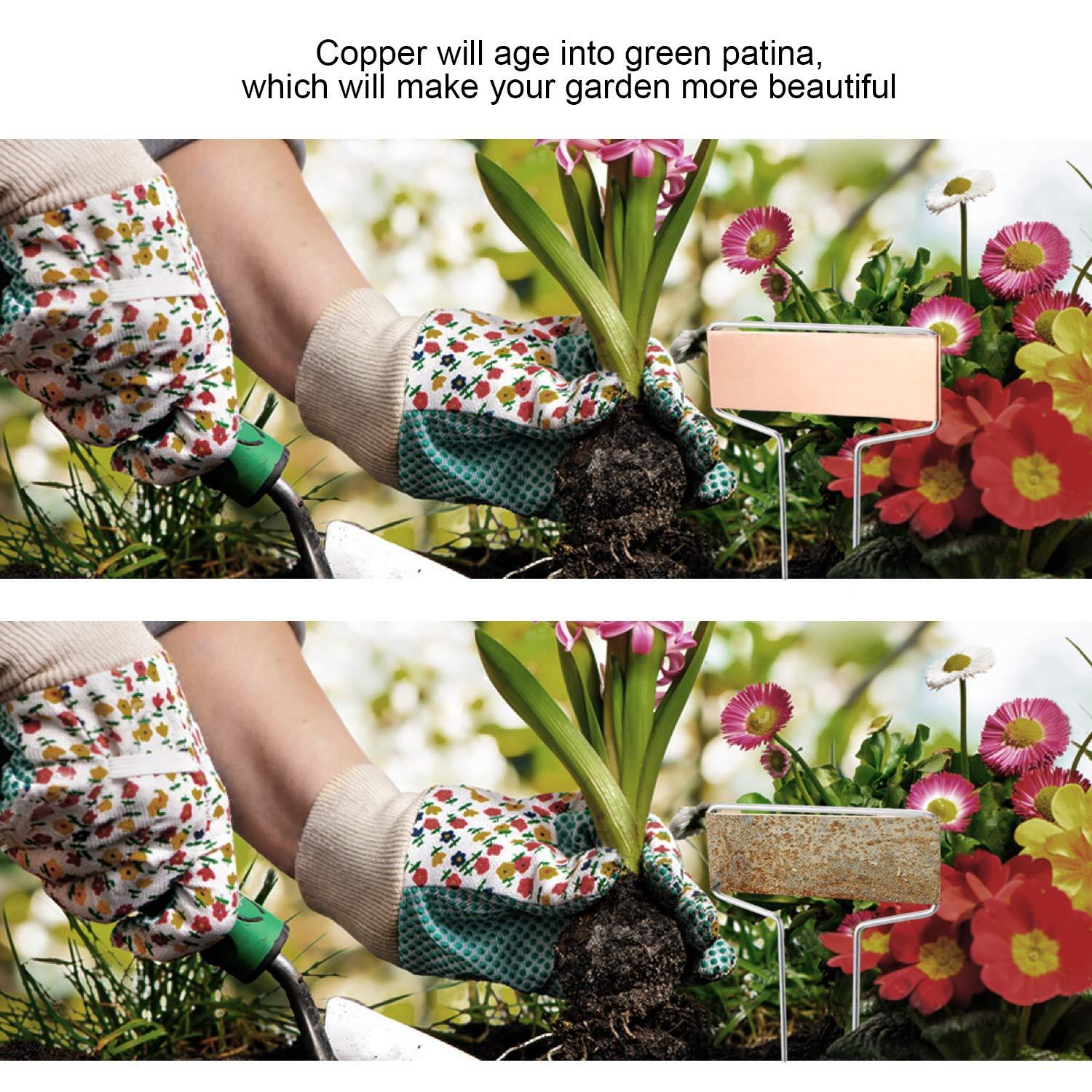 25PCS Copper Metal Plant Tags Plant Labels with 50Pcs Labels, Rainproof PET Film & Permanent Pen, 10" Weatherproof Banner Garden Markers, Marking Protection Seedling Signs Nursery Tags