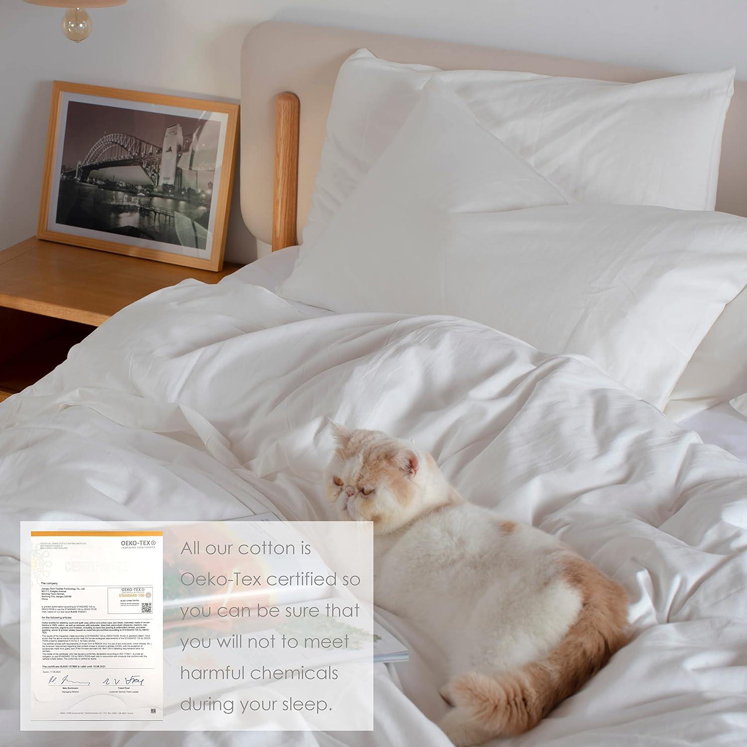 HeimenAogo Egyptian Cotton Duvet Cover Set King, Ultra Soft and Breathable Comforter Cover with Zipper Closure, High Thread Count Long Staple Cotton Blanket Cover 3pcs, Off-White