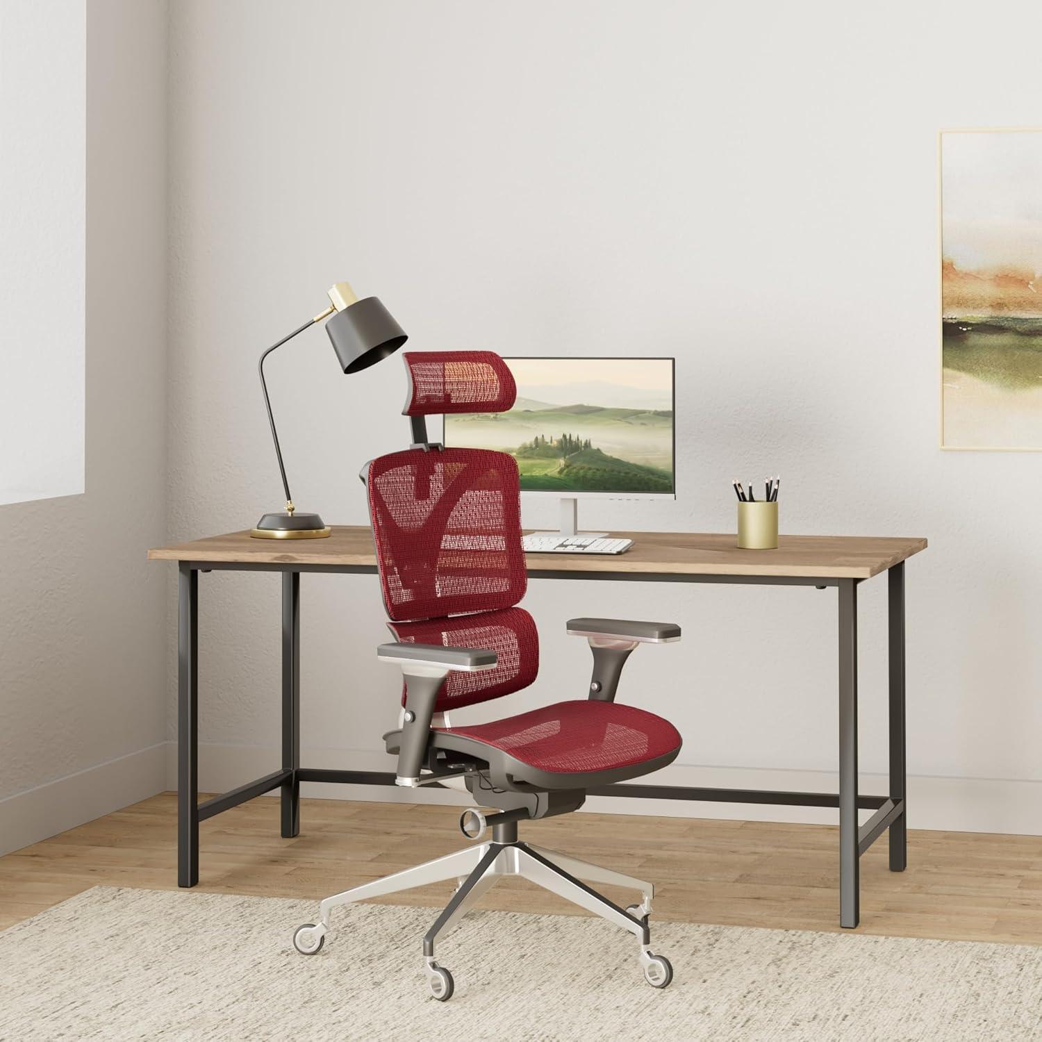 Nouhaus Inc Nouhaus Ergonomic Office Chair Lumbar Support Aluminum Alloy Backrest, Big and Tall Mesh Computer Desk Chair with Adjustable Headrest, 4D Armrest and Premium Wheels
