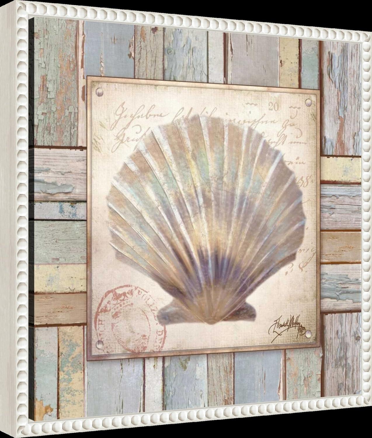 Amanti Art 16"x16" Beach Shell I by Elizabeth Medley: Coastal Nautical Wall Decor, Modern Style