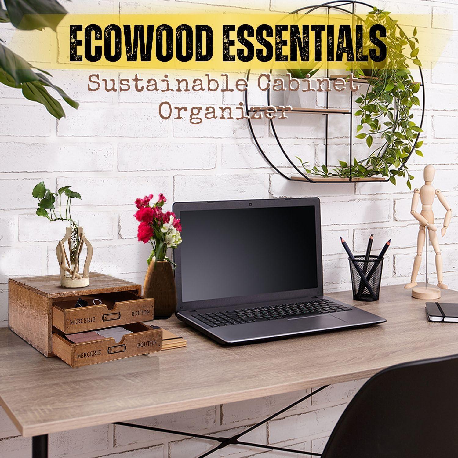 Wooden Desktop Office Supplies Organizer with 2 Storage Drawers Set, 2-Tier Wood Tabletop Cabinet, Countertop Desk Accessories Box, for Home Workspace Counter Vanity Decor Art Craft Tool Mail