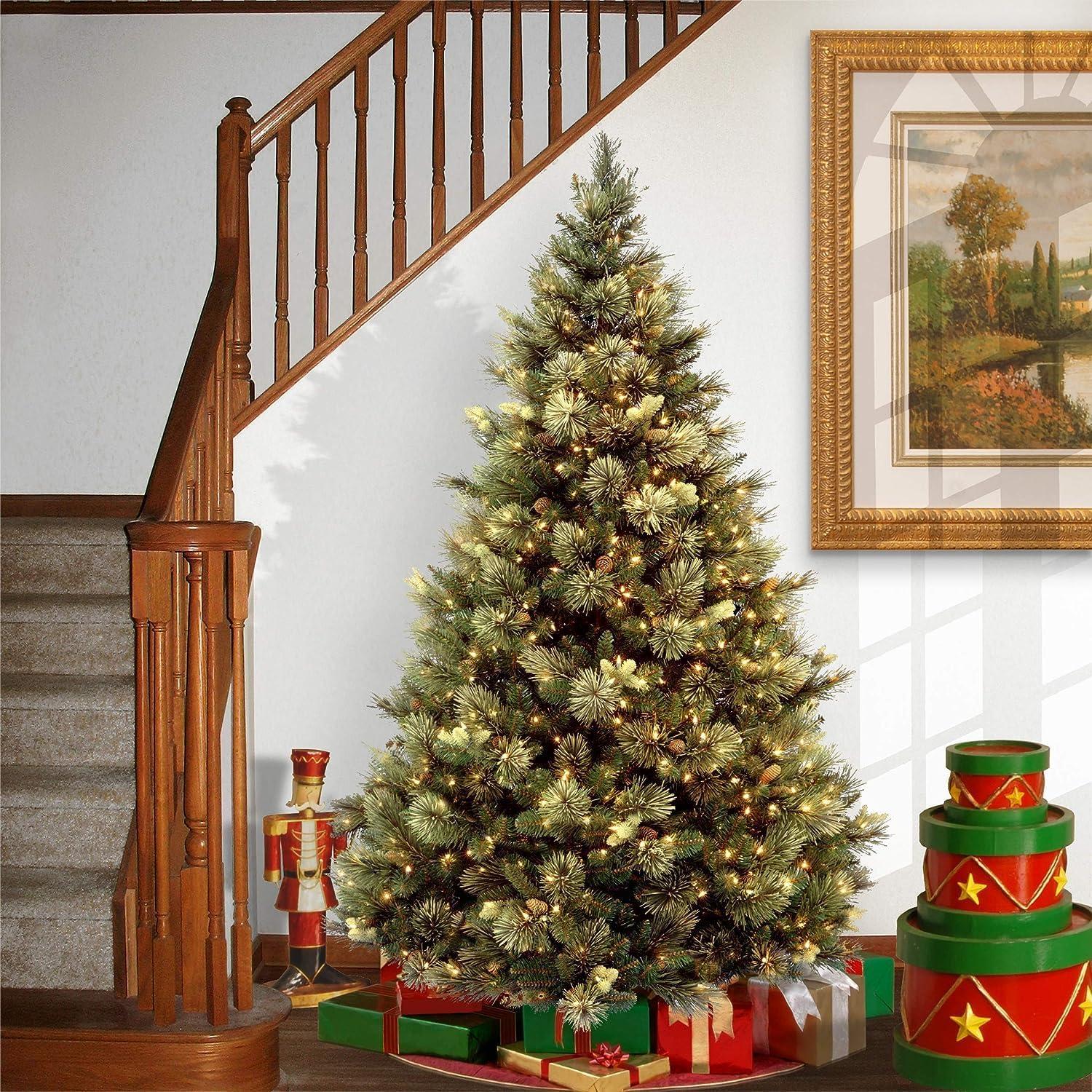 6.5' Prelit Carolina Pine Artificial Christmas Tree Clear Lights - National Tree Company