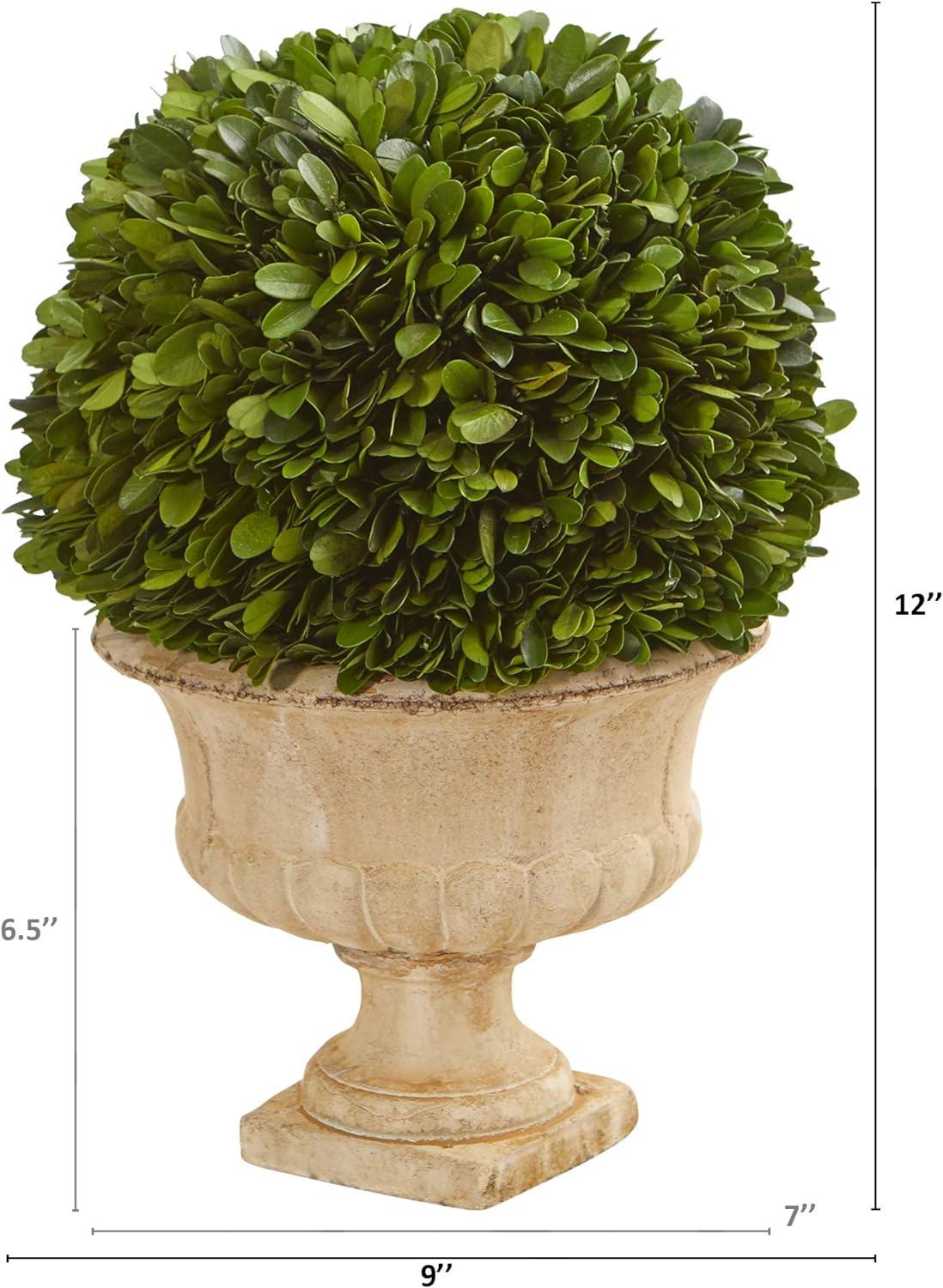 Nearly Natural 12” Boxwood Topiary Ball Preserved Plant in Decorative Urn