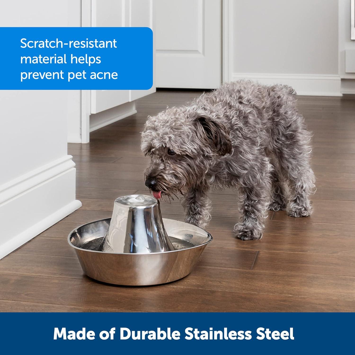 PetSafe Seaside Stainless Pet Fountain, Automatic Dog and Cat Water Bowl, 60 oz