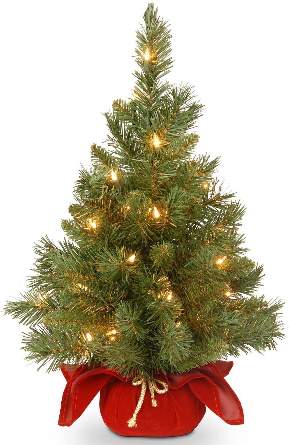 2' White Fir Outdoor Christmas Tree with Lights