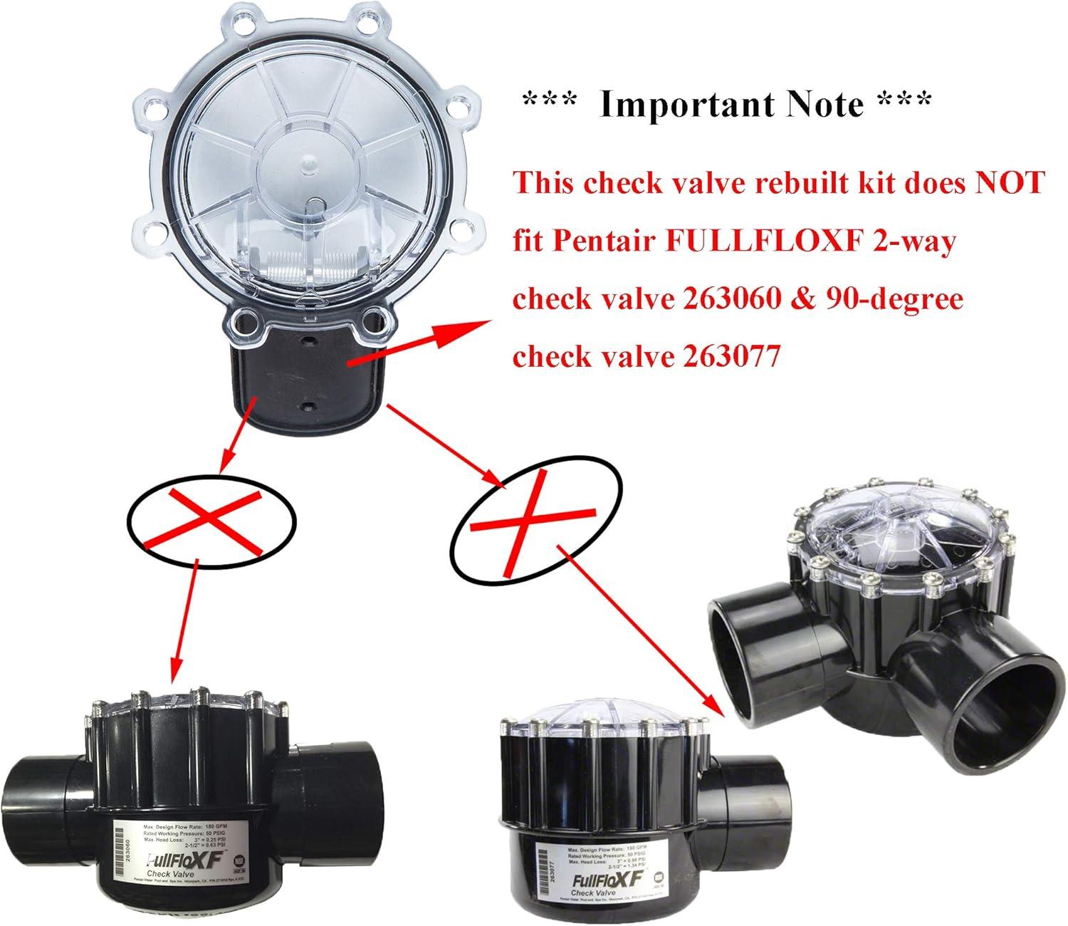 Pentair Clear CPVC 2-Inch 2-Way Pool Spa Check Valve Kit