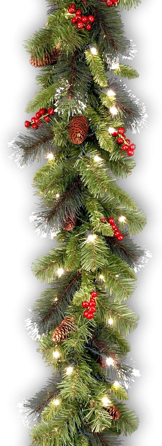National Tree Company 9ft. Crestwood Spruce Garland with Clear Lights