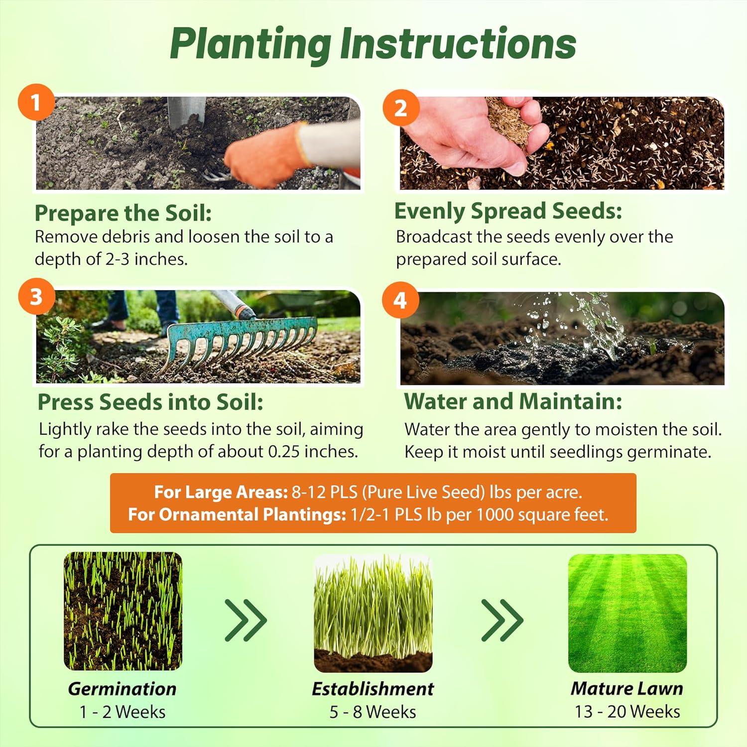 Outsidepride Indian Native Grass Seed - 5 lbs. Perennial, Low Maintenance, Drought-Tolerant Prairie Grass Seed for Wildlife Habitat, Livestock Forage, Ornamental Landscaping & Erosion Control