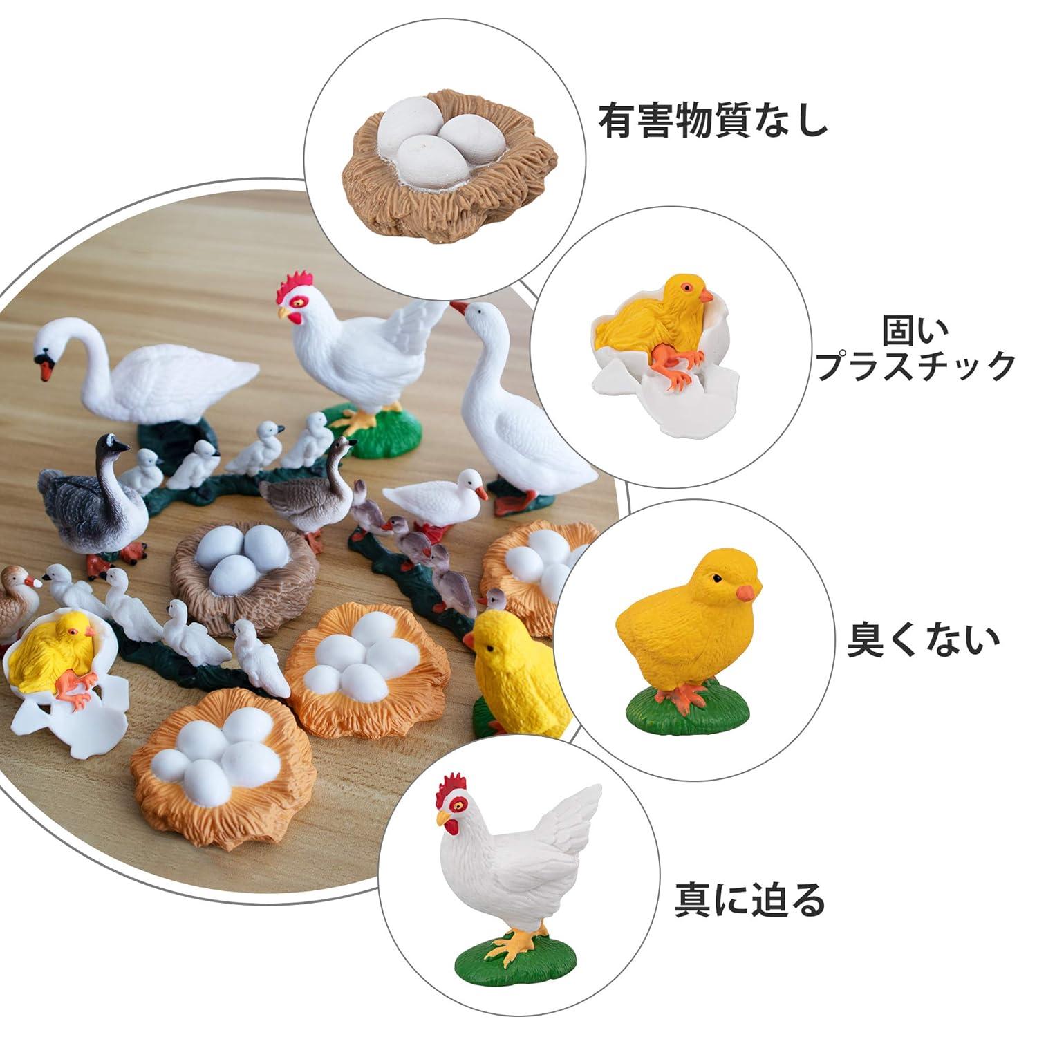 Toymany 16PCS Life Cycle of Goose White Swan Chicken Duck Farm Animals Figures, Plastic Safariology Growth Cycle Eggs Figurines Toy Kit School Project Cake Topper for Kids Toddlers