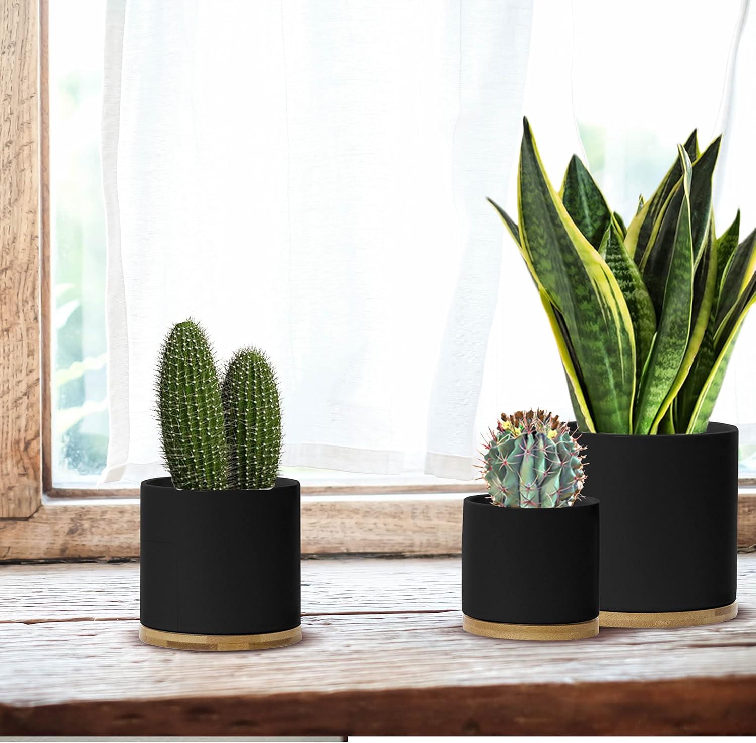 Olly & Rose Black Set 3 Ceramic Plant Pots with Bamboo Coasters Indoor Planters with Saucers