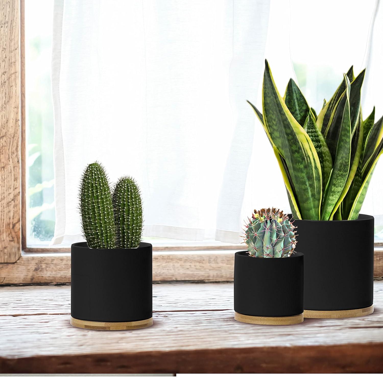 Olly & Rose Black Set 3 Ceramic Plant Pots with Bamboo Coasters Indoor Planters with Saucers