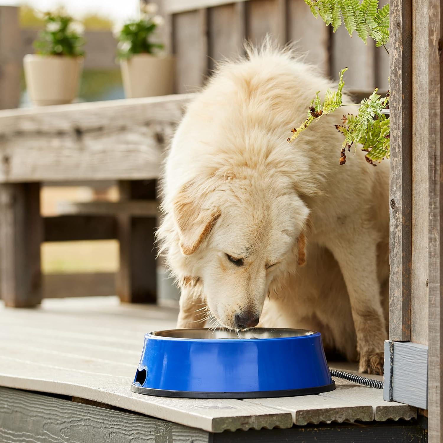 Farm Innovators SB-40 Signature Series 3 Quart Electric Heated Pet Water Bowl with Stainless Steel Insert, Thermostatic Control, 40 Watt