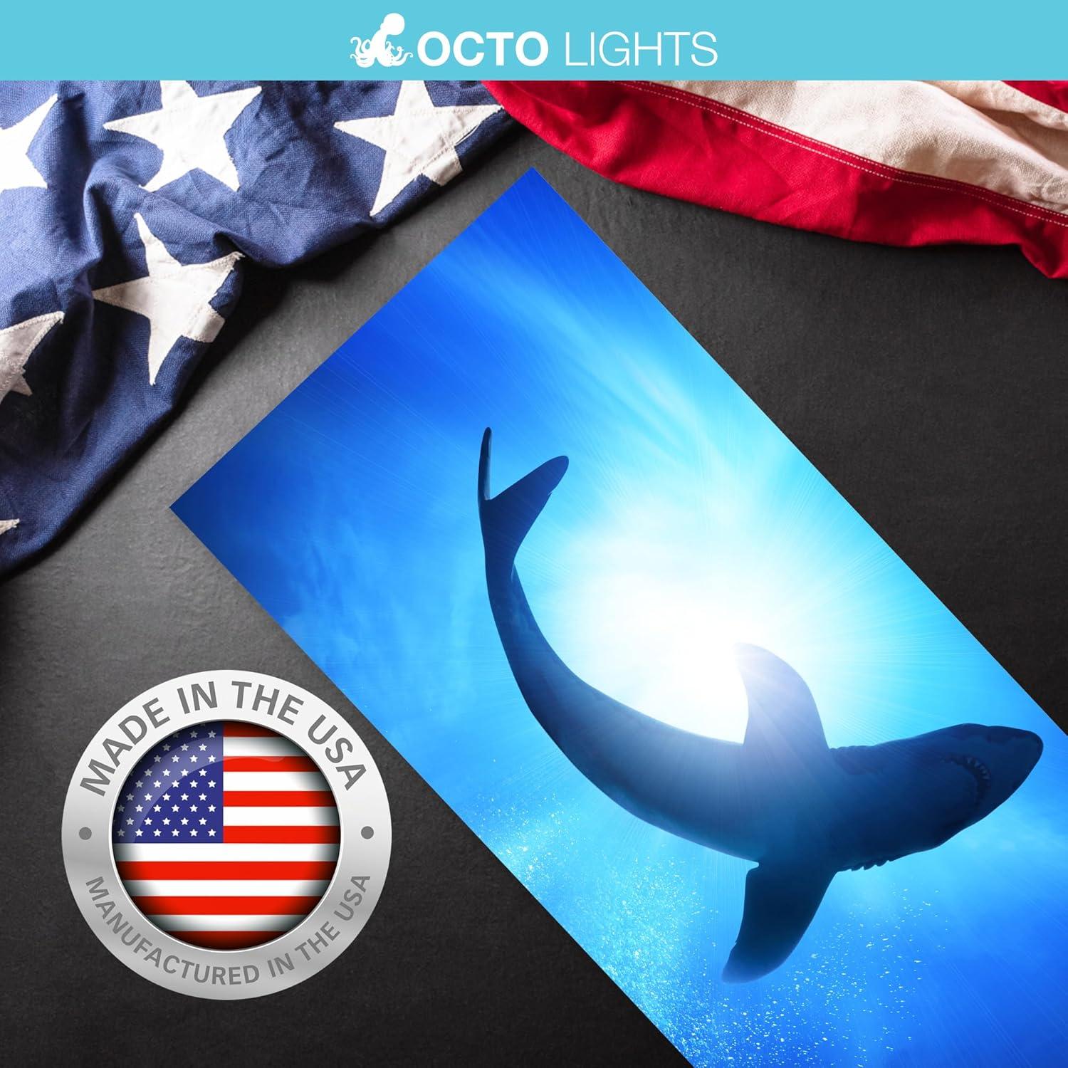 Octo Lights OCE-007-MGT-2x4 Ocean - Magnetic Fluorescent Light Cover for Ceiling Lights Classroom -  2x4 - by Octo Lights