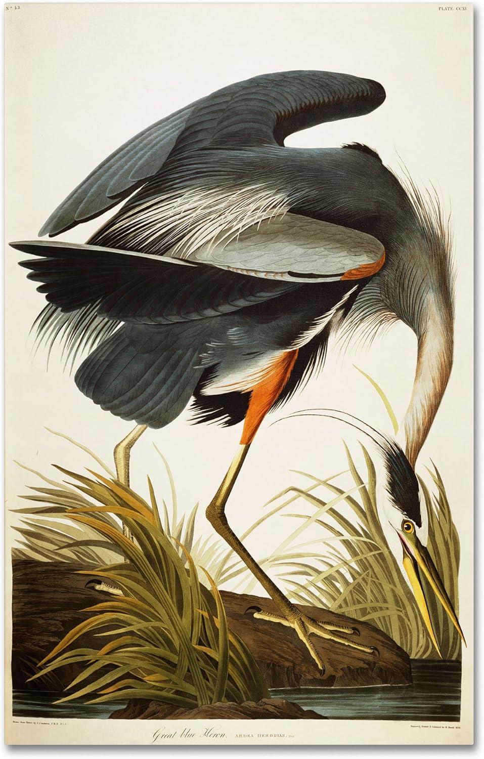 Great Blue Heron Multicolor Canvas Wall Art