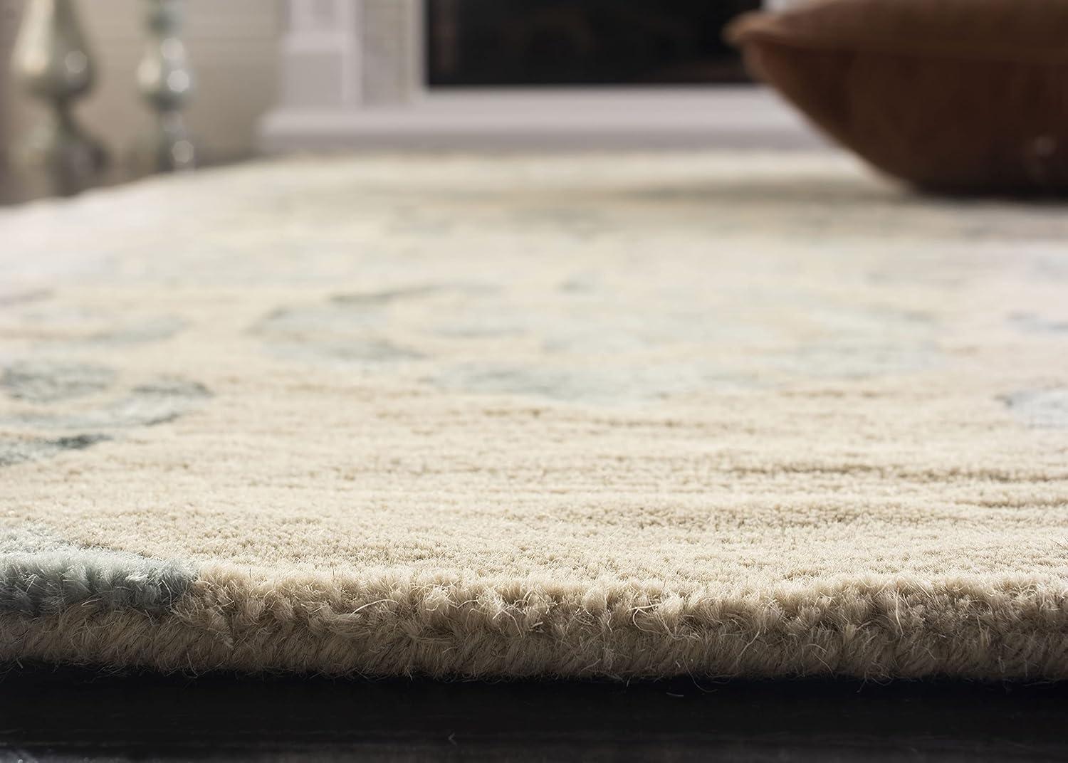 Dip Dye DDY719 Hand Tufted Area Rug  - Safavieh