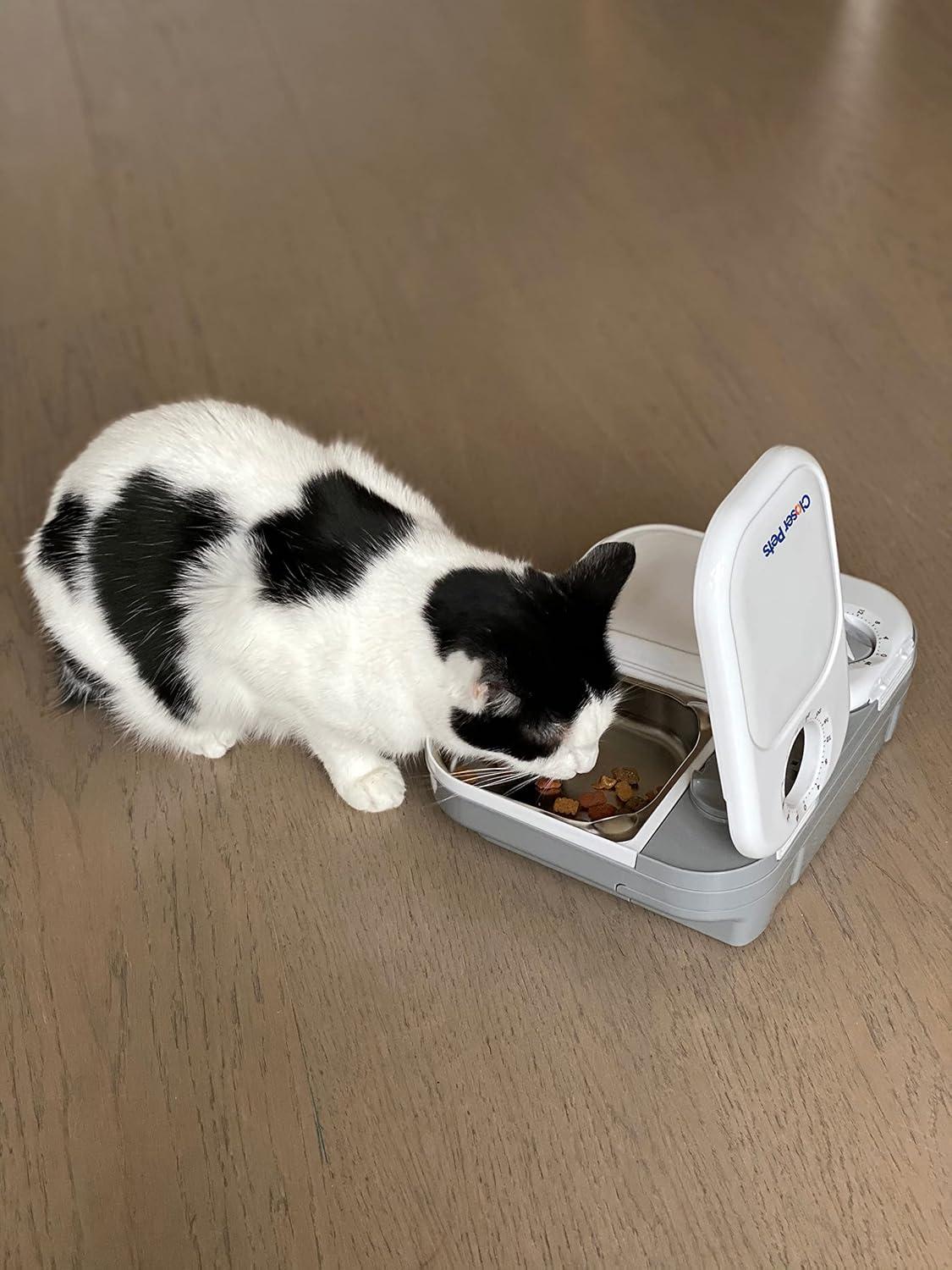 Two-Meal Programmable Pet Feeder with Stainless Steel Bowls