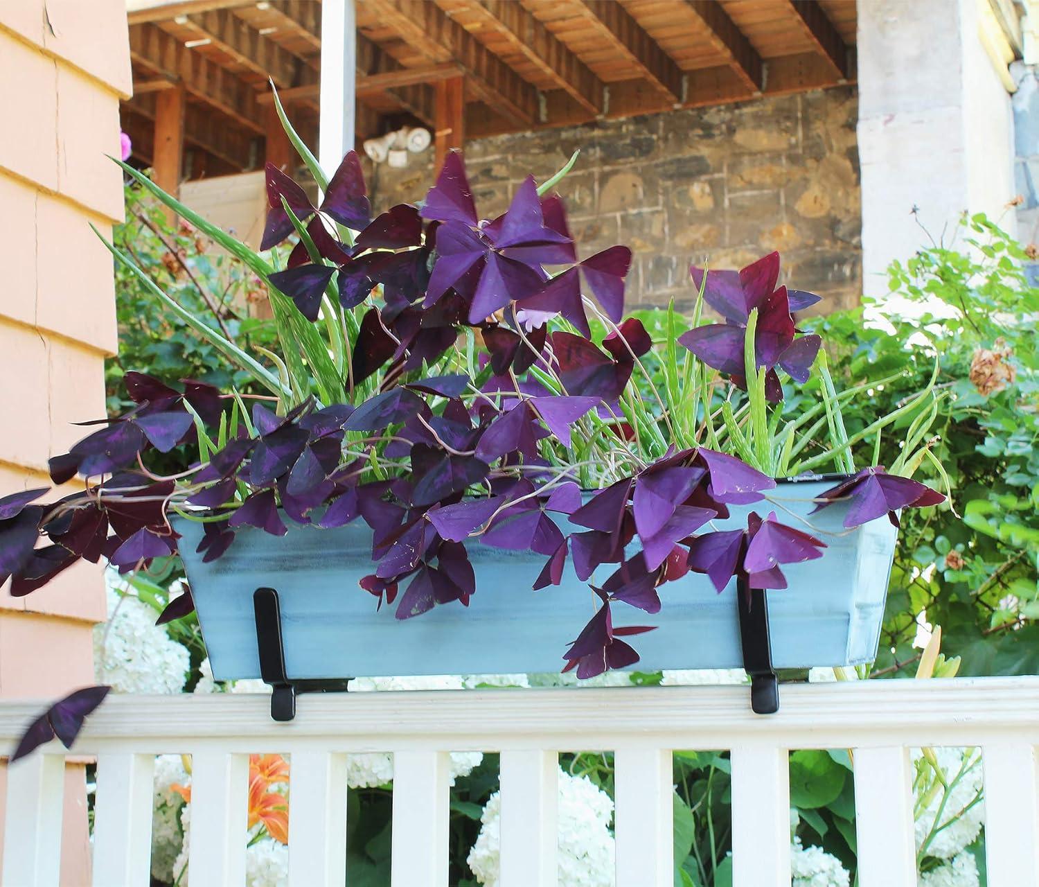 Small Blue Galvanized Steel Flower Box Planter with Brackets