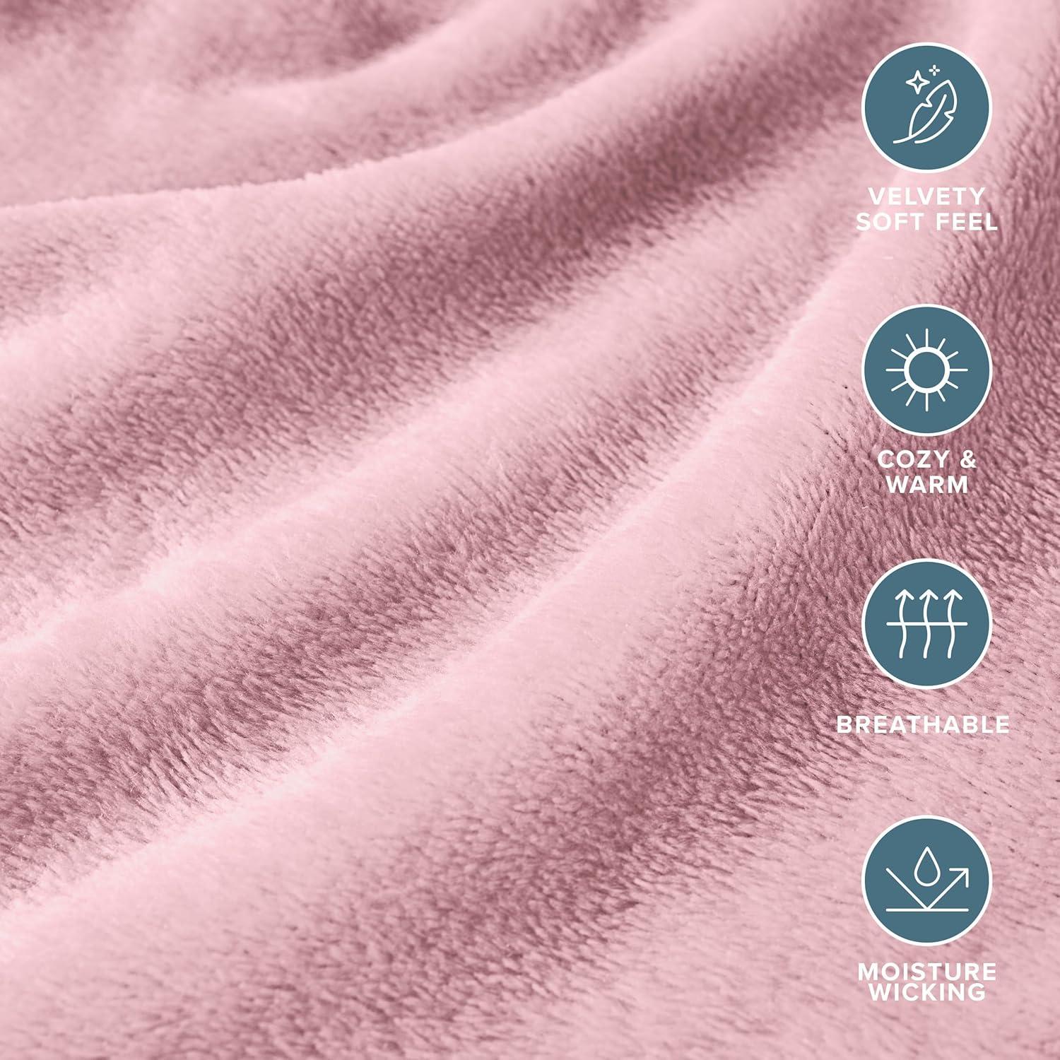 Bare Home Microplush Sheet Set