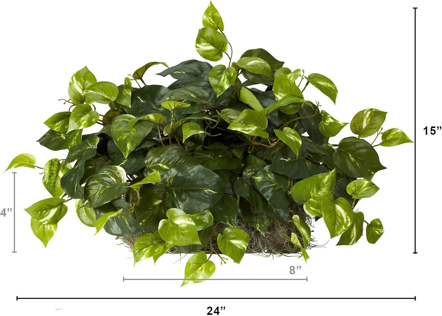 Primrue Pothos Ledge Plant (Set on Foam) Silk Plant