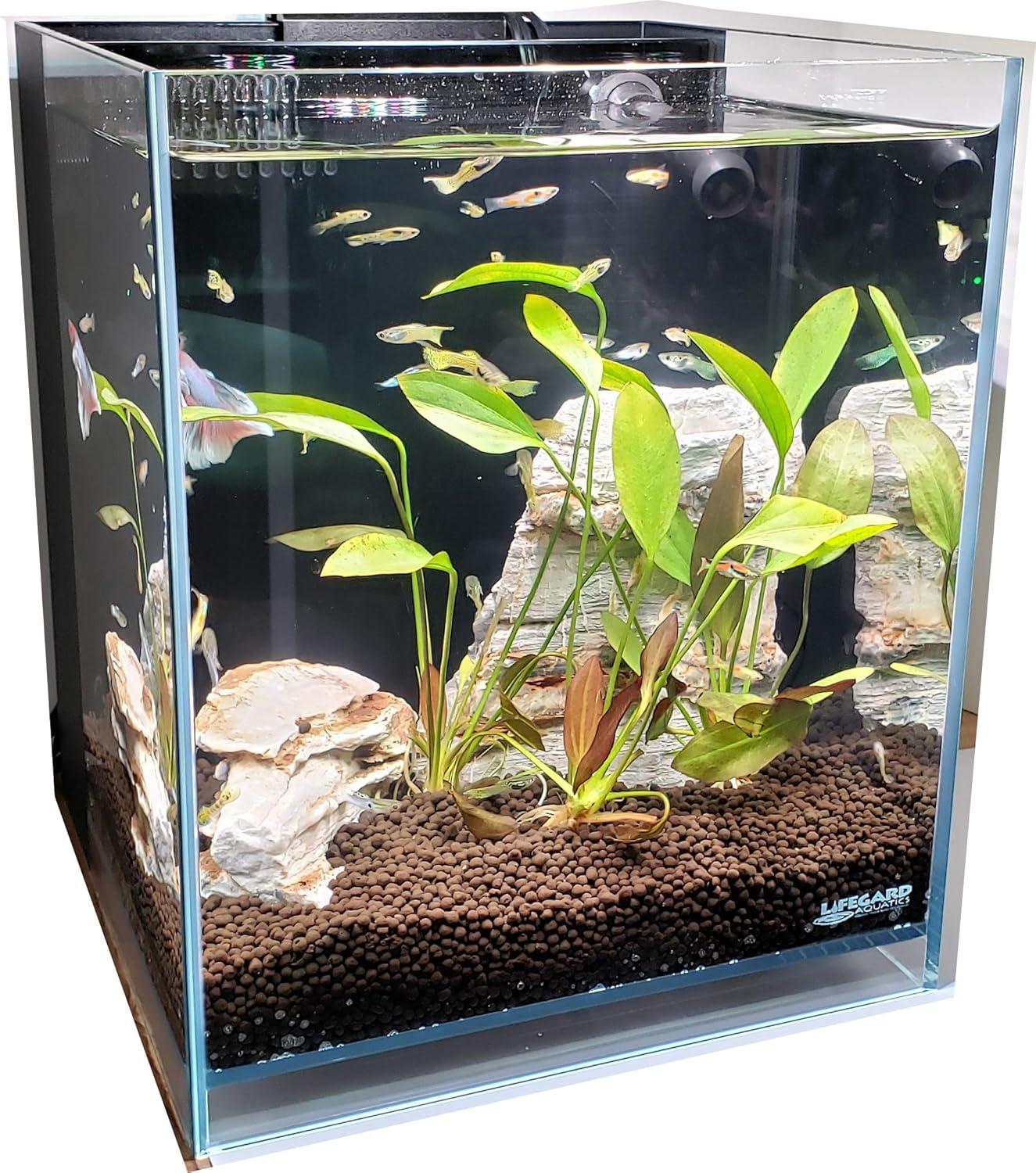 Lifegard Low Iron Ultra Clear Crystal Aquarium with Built in Filter ��������������������������� Rimless Glass, Beveled Edge, Elevated Style ��������������������������� Direct Jet Flow ��������������������������� 8.3 GPH