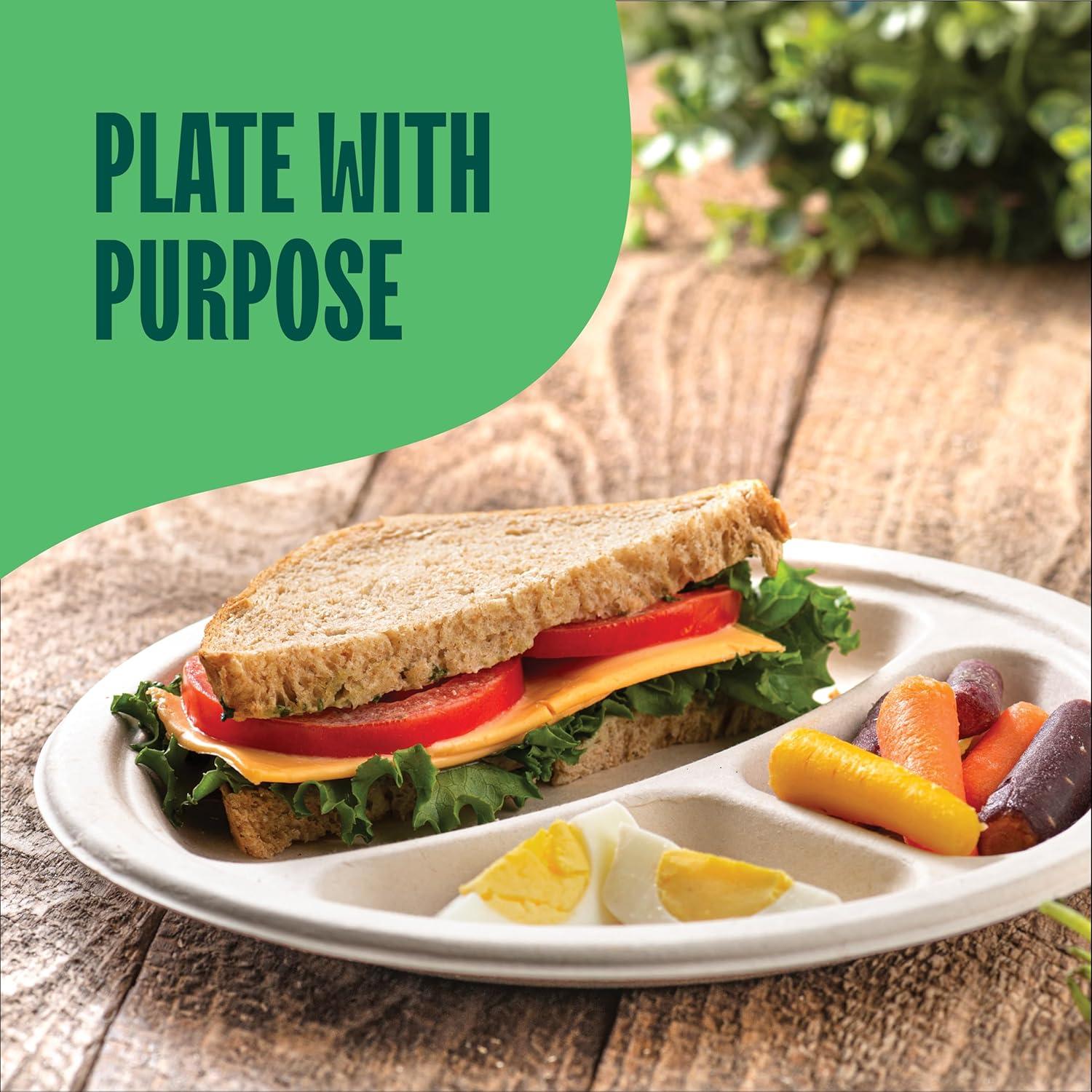 Stack Man 100% Compostable, 3 Compartment Section, Disposable Paper Plates [9 in. - 125-Pack] -Heavy Duty Biodegradable, BBQ, Lunch Trays