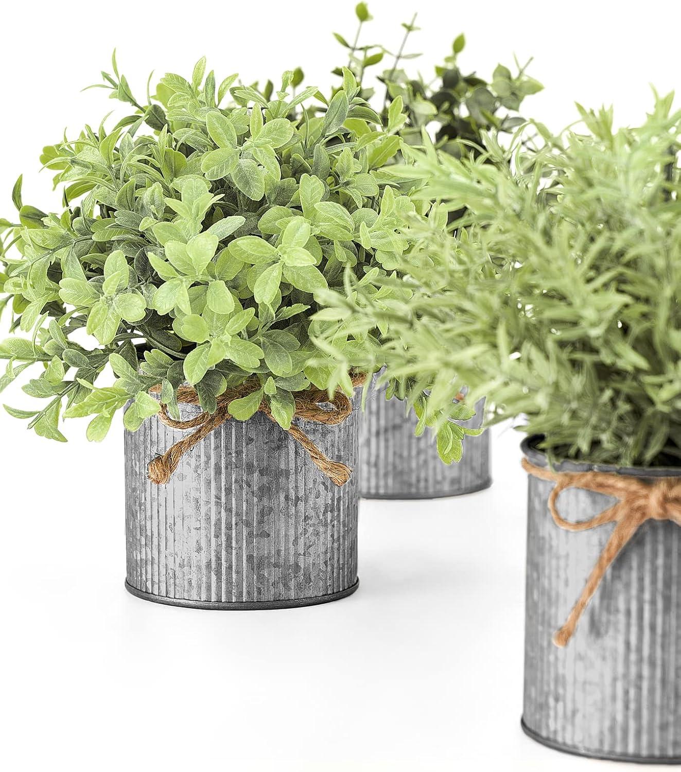 Set of 3 Green Faux Boxwood and Eucalyptus Tabletop Centerpieces