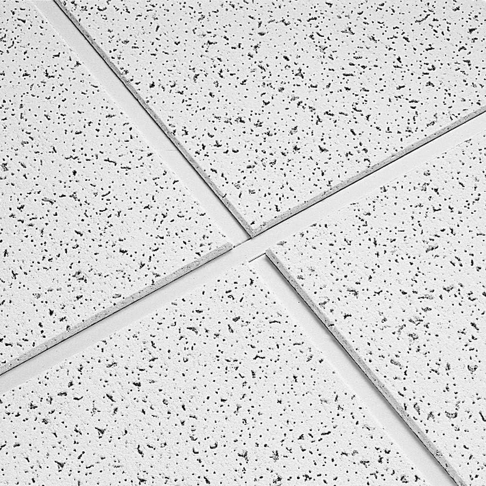 Cortega 2x2 White Acoustic Ceiling Tiles